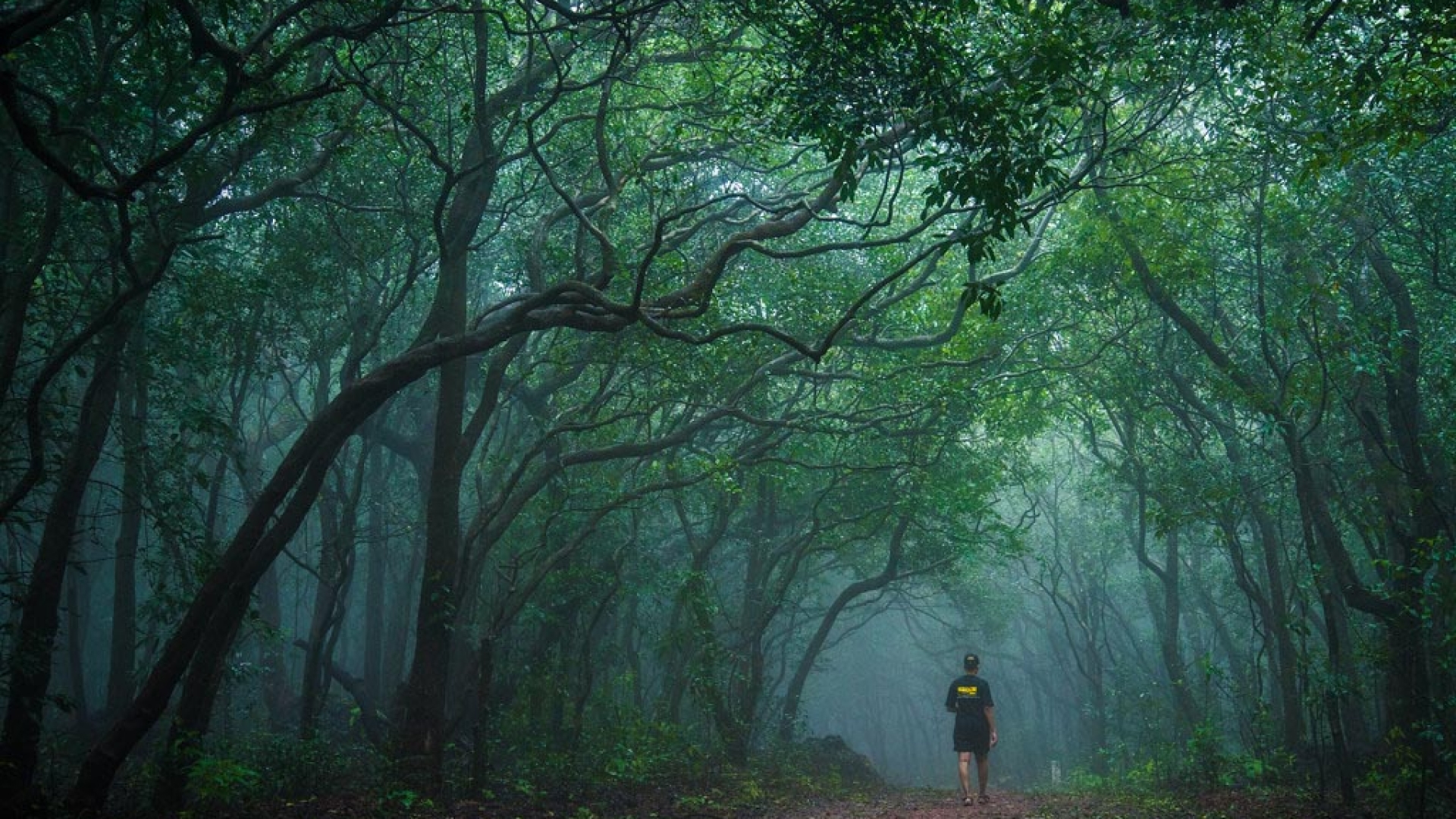 Matheran: Asia's Only Automobile-Free Hill Station