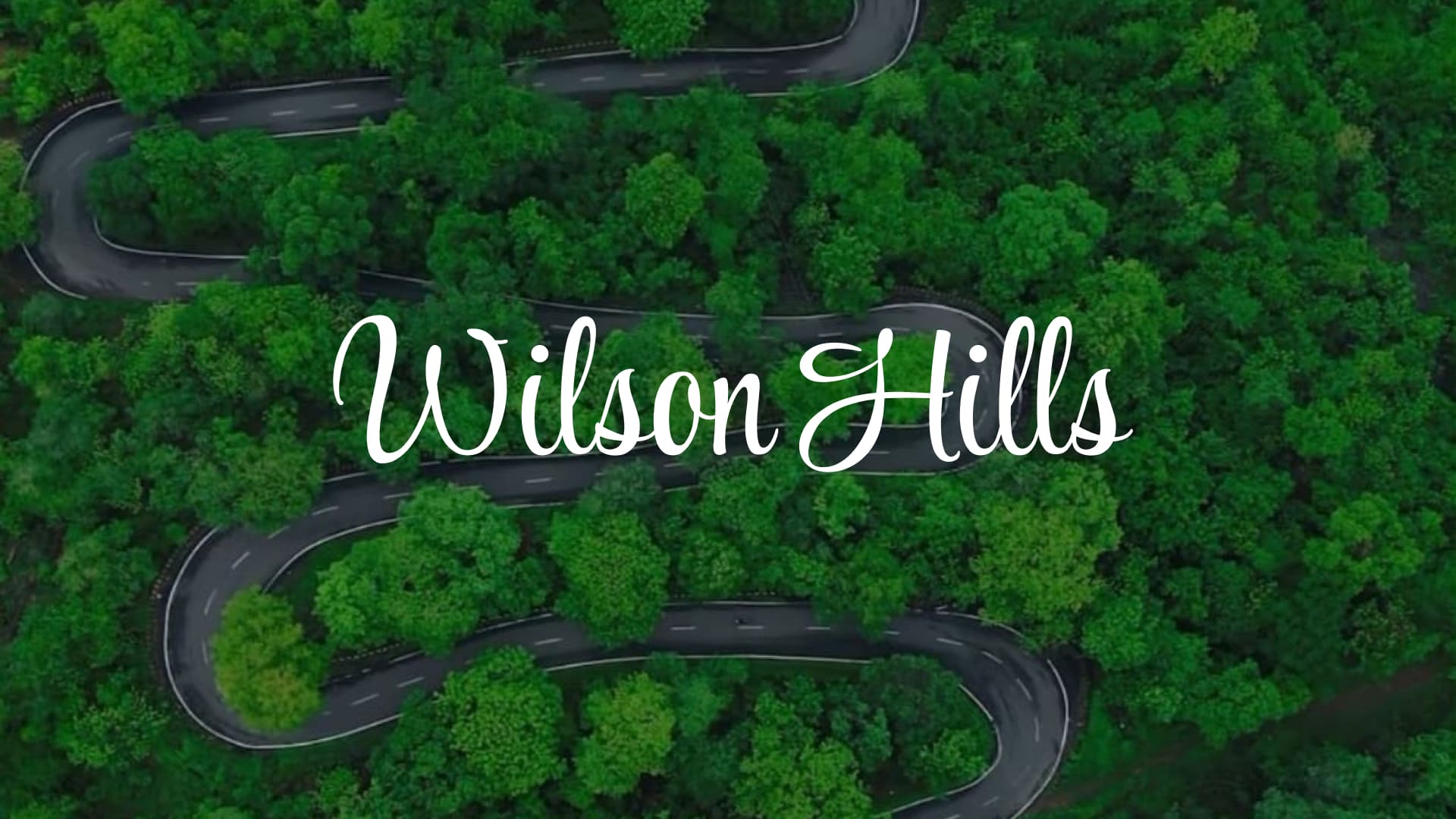 Wilson Hills: Gujarat's Scenic Hill Retreat Above the Clouds
