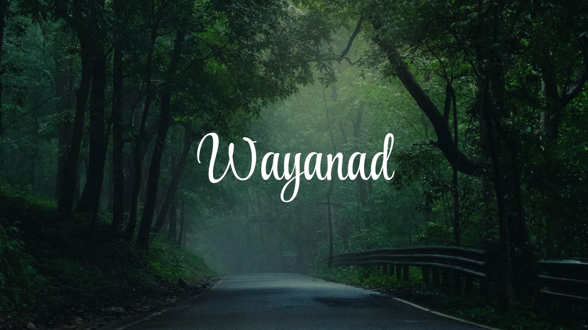 Discover Wayanad: The Ultimate Guide to Kerala’s Green Paradise - Cover Image