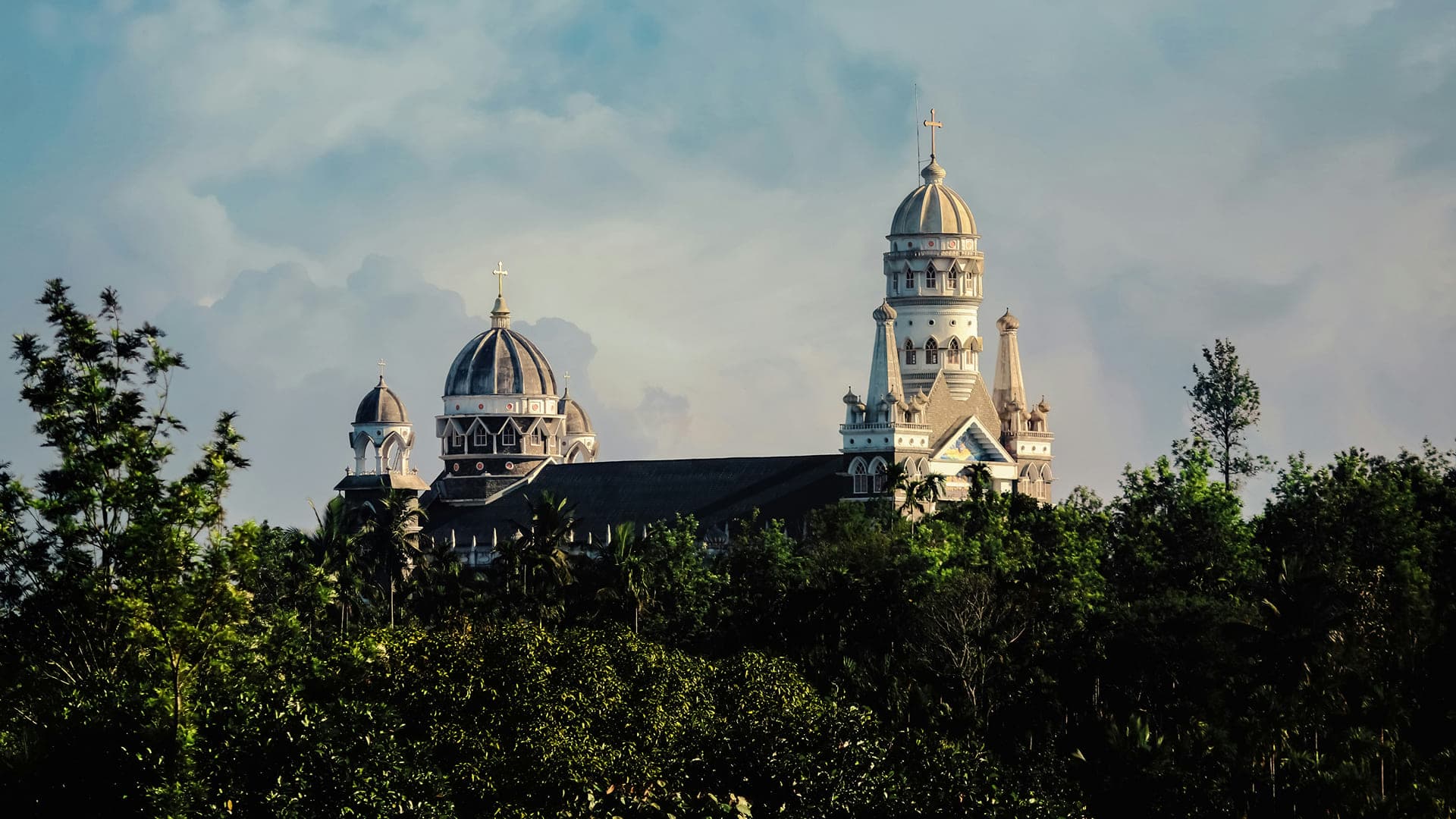 Discover Wayanad: The Ultimate Guide to Kerala’s Green Paradise - Photo 4