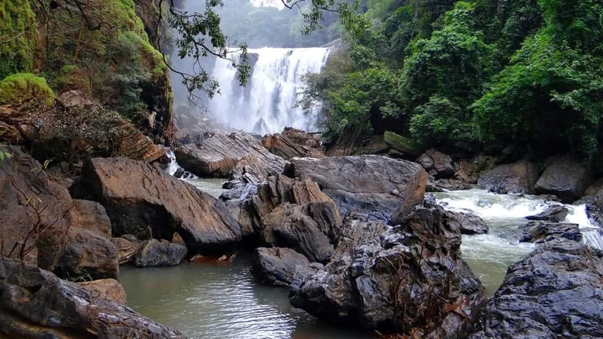 Purna Sanctuary