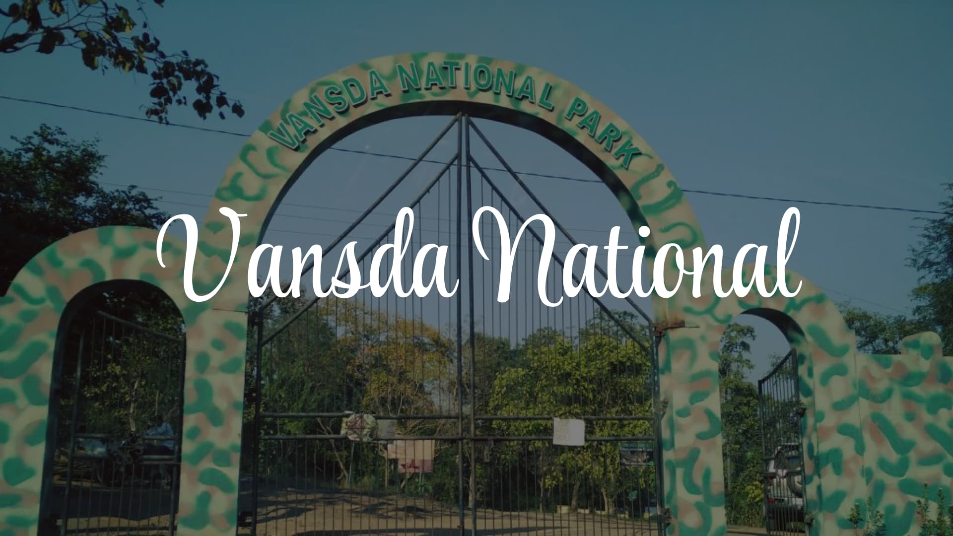 Vansda National Park: A Journey into the Deep Woods
