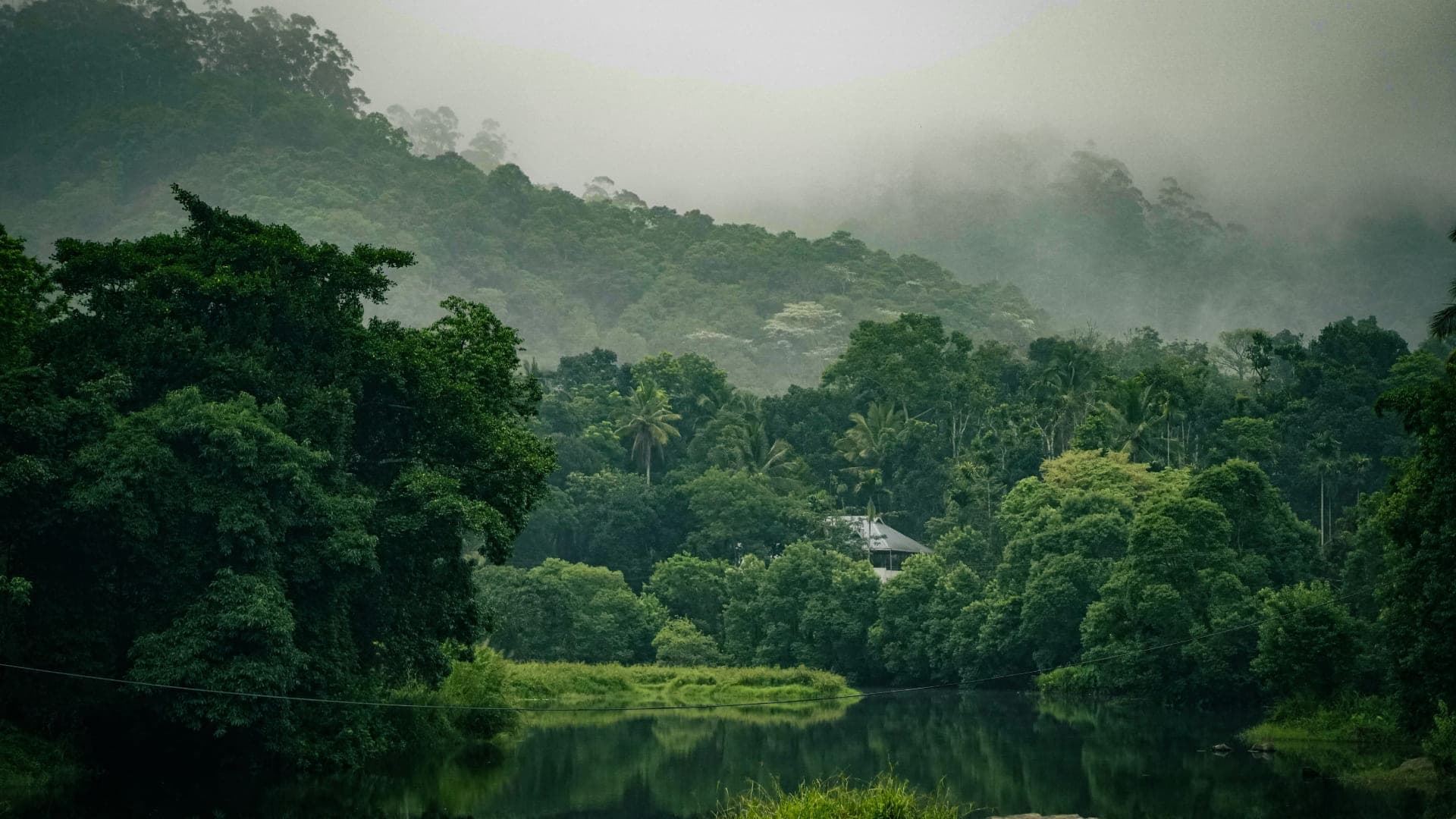 Discover Thekkady: The Ultimate Guide to Periyar’s Wild Heart - Photo 2