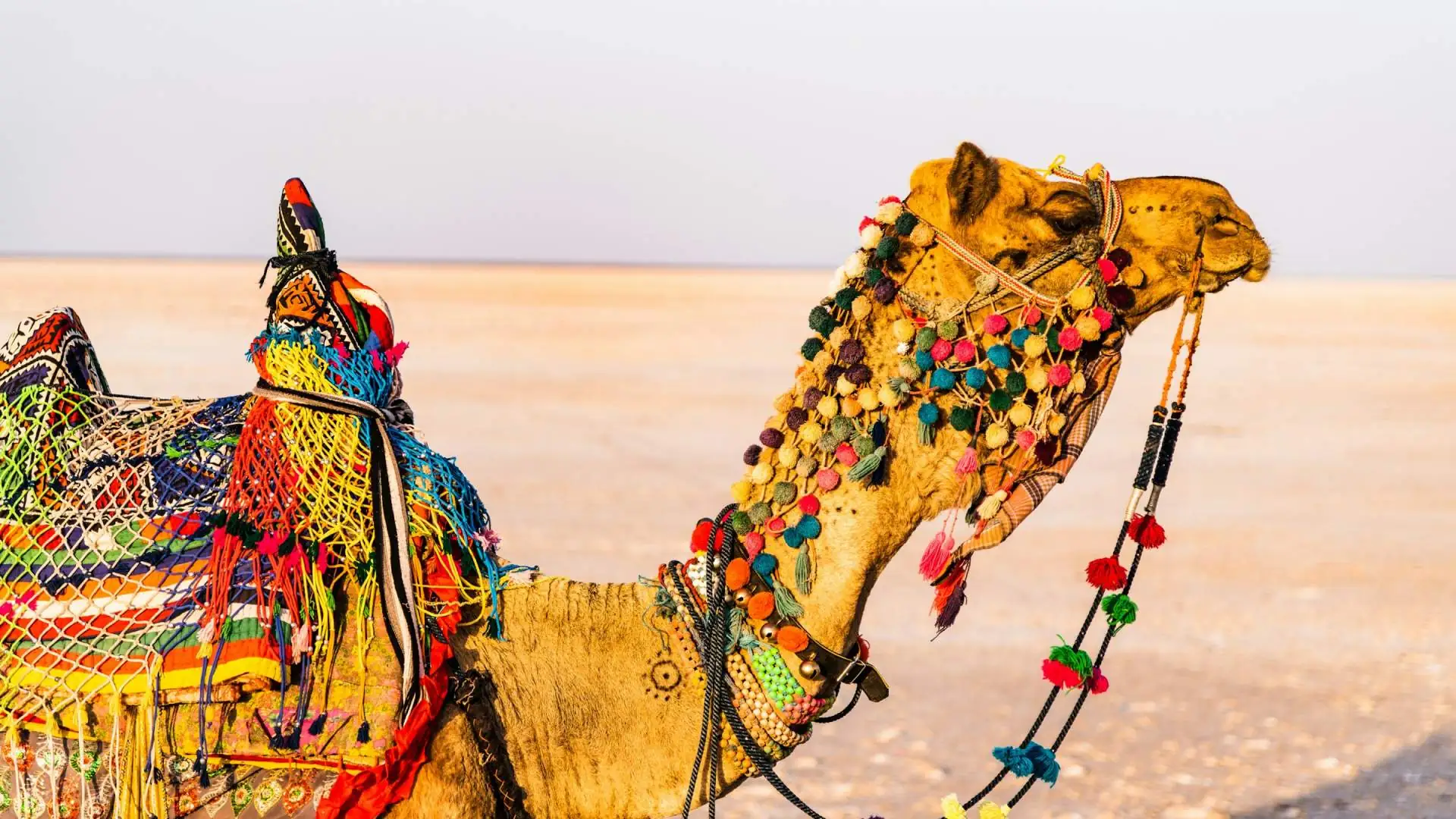 Gopi Talav Surat (Surat, Gujarat): Complete Travel Guide, History & Photos