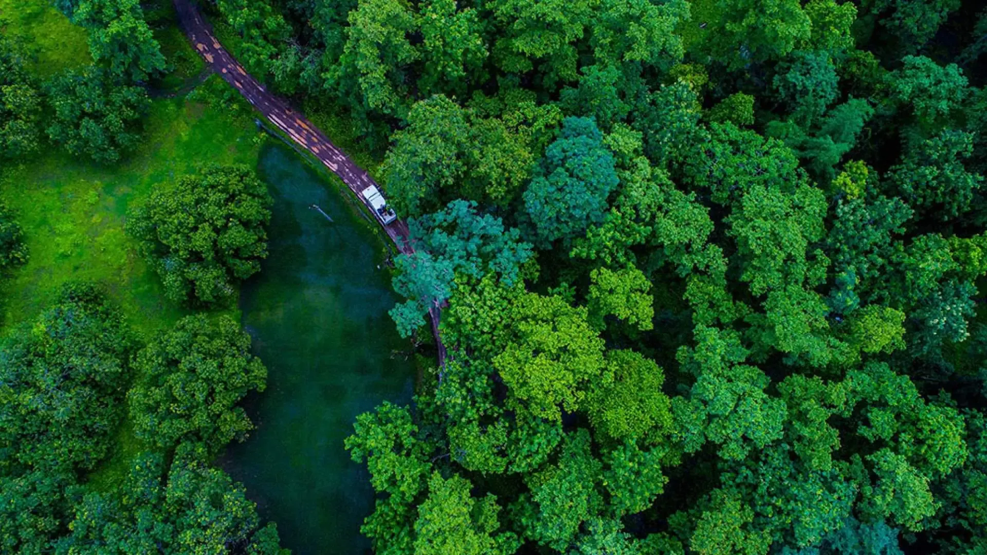 Vansda National Park: A Journey into the Deep Woods - Photo 6