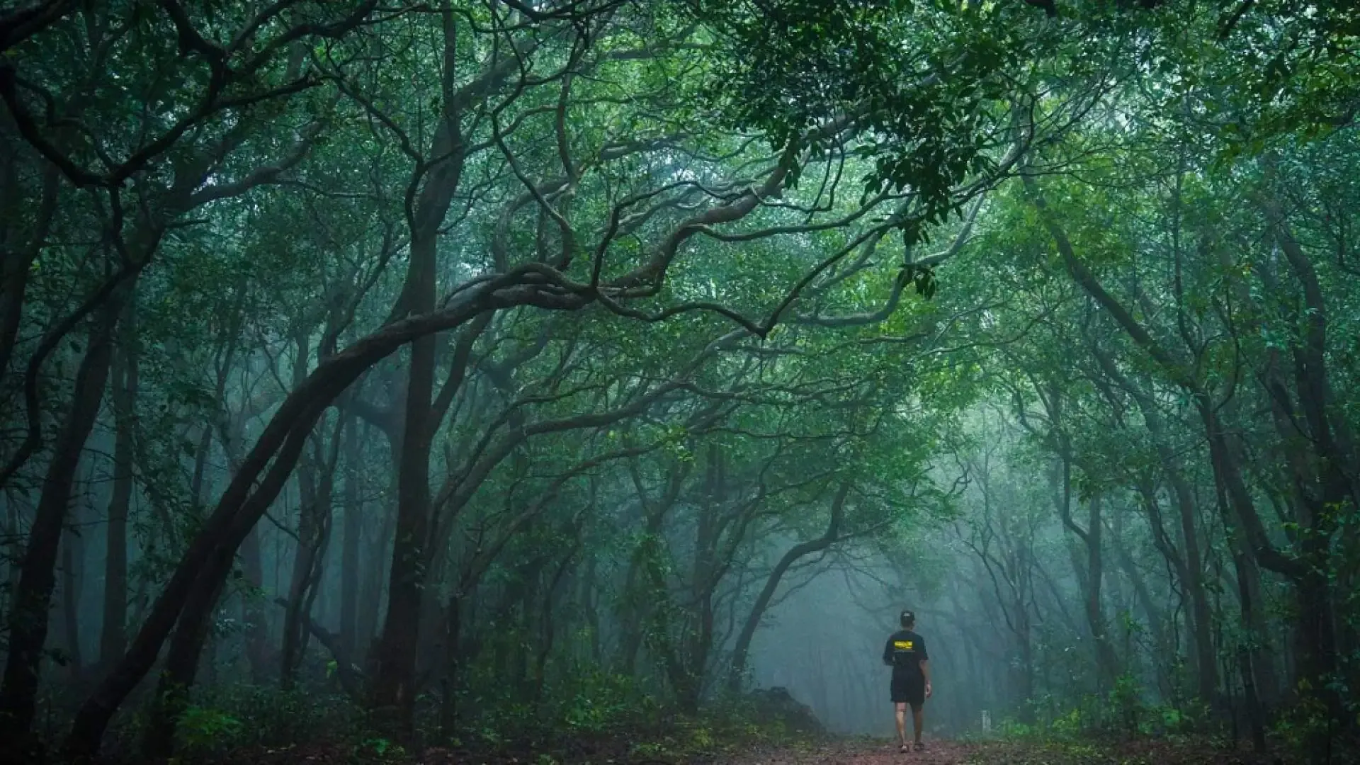 Matheran Travel Guide - Photo 2