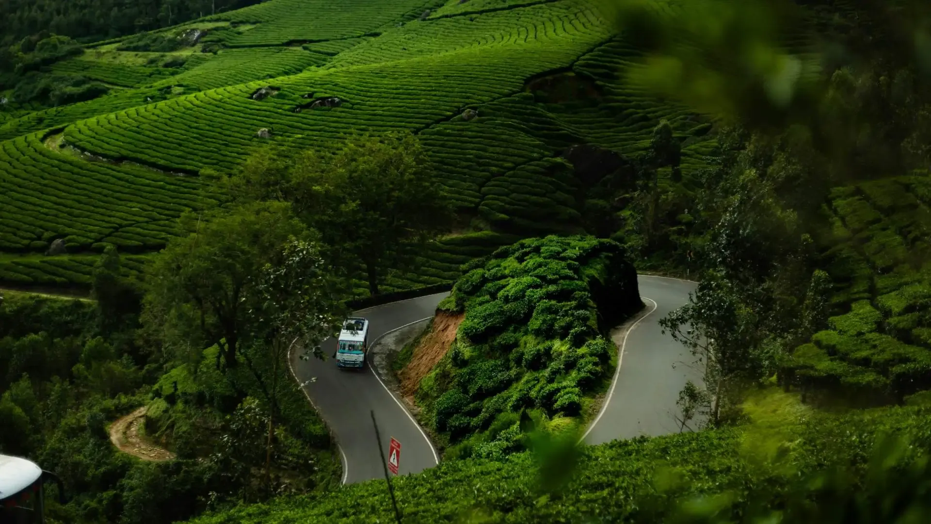 Discover Wayanad: The Ultimate Guide to Kerala’s Green Paradise - Photo 6