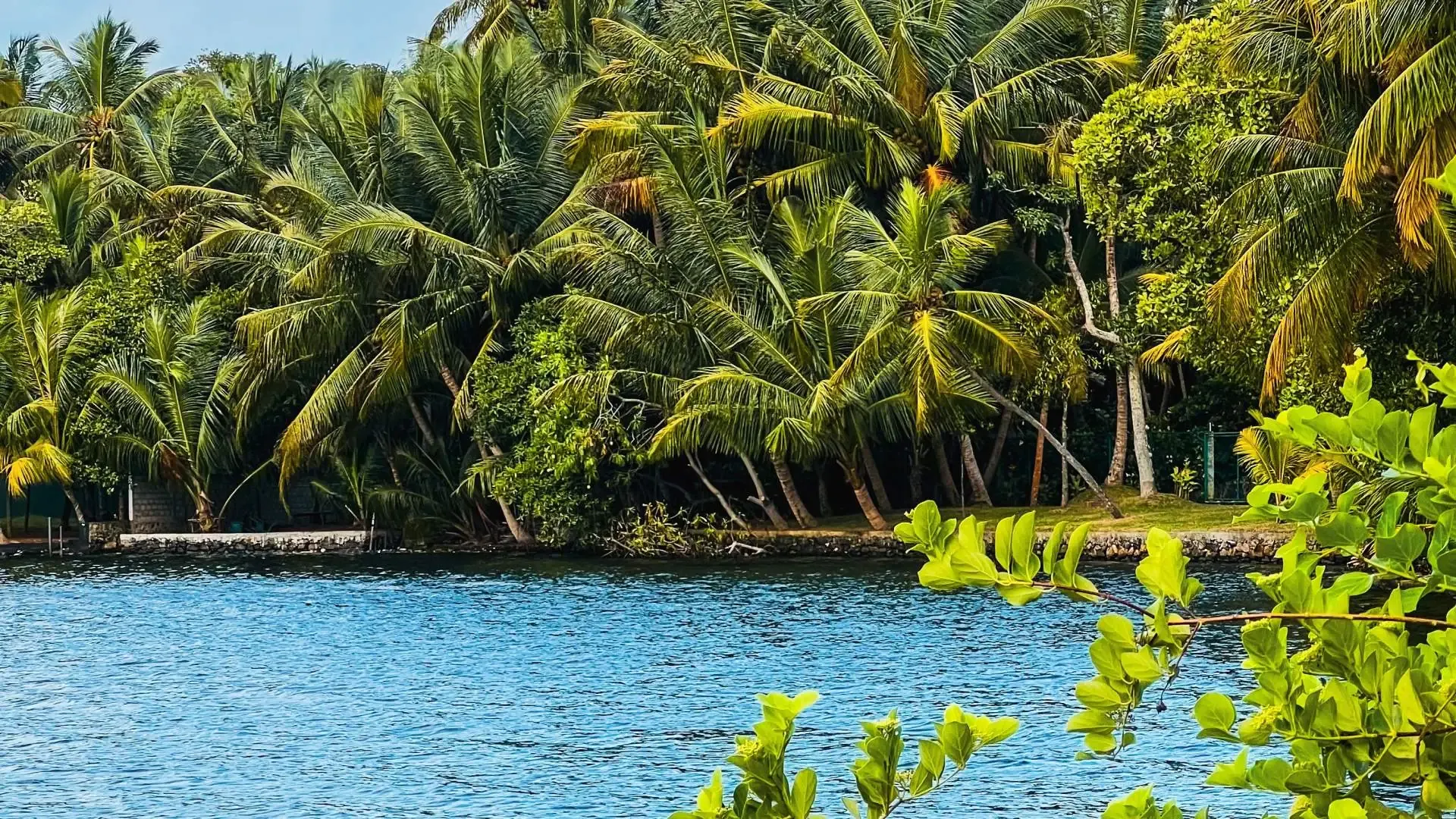 Discover Kumarakom: The Ultimate Guide to Kerala’s Backwater Paradise - Photo 6
