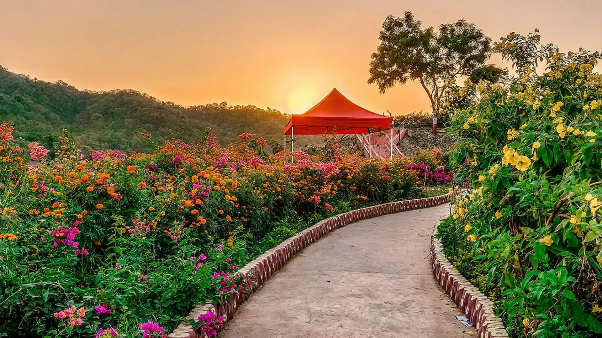 Waghai Botanical Garden - Photo 8