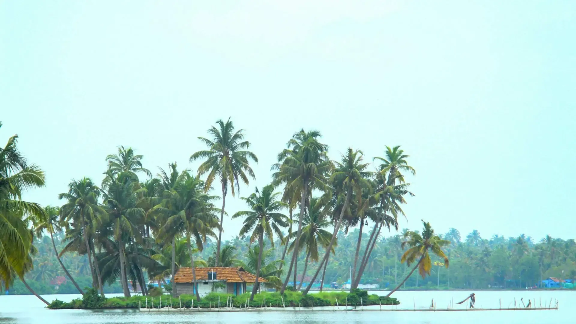 Discover Kochi: The Ultimate Guide to Kerala’s Queen of the Arabian Sea - Photo 4