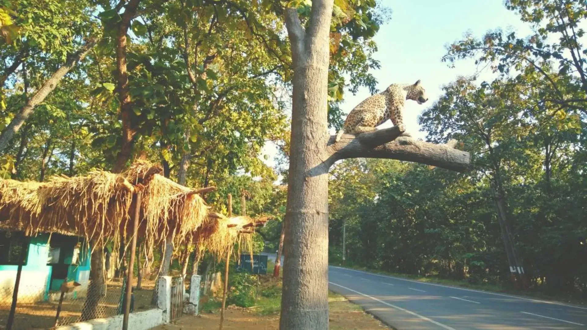 Vansda National Park: A Journey into the Deep Woods - Photo 8