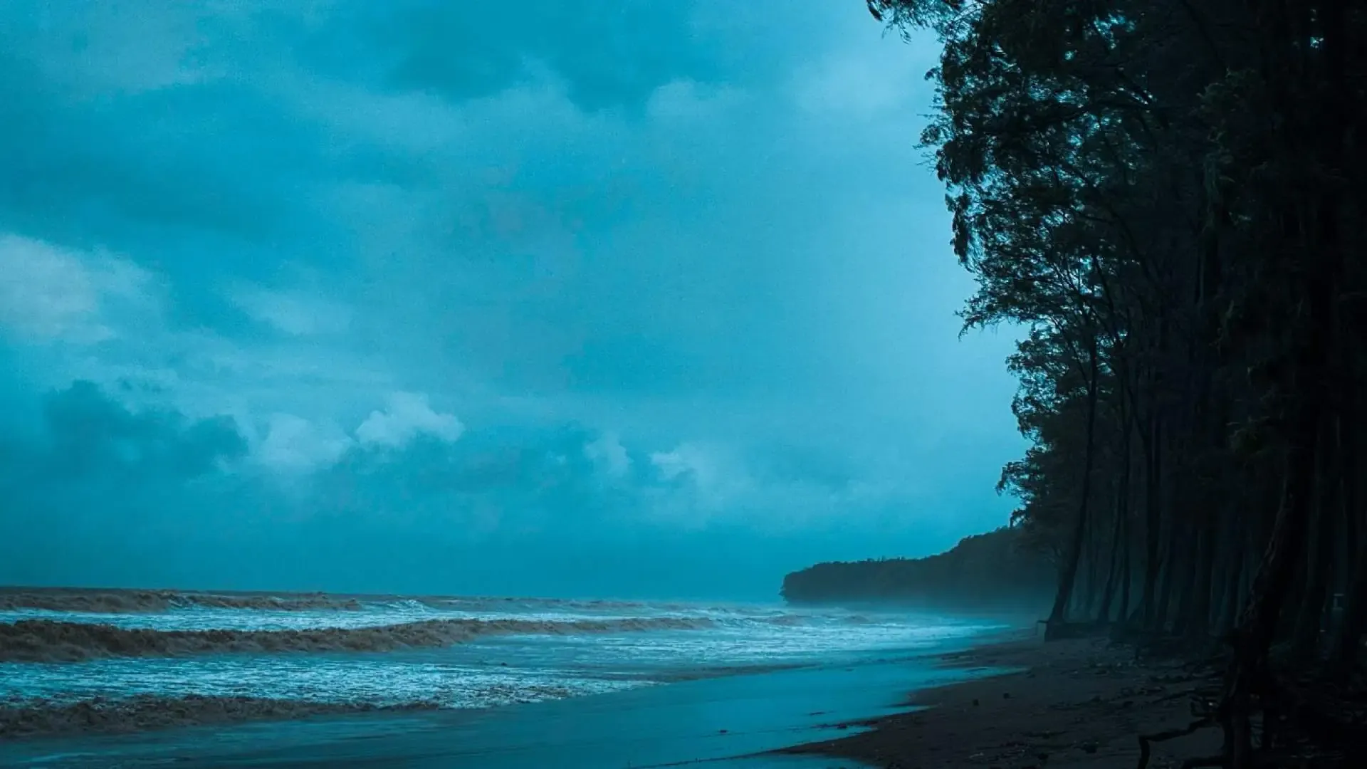 Nargol Beach: A Serene Coastal Paradise in South Gujarat - Photo 8
