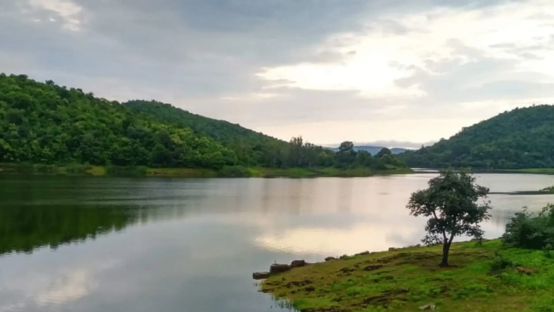 Polo Forest: A Hidden Ecological Paradise - Photo 8