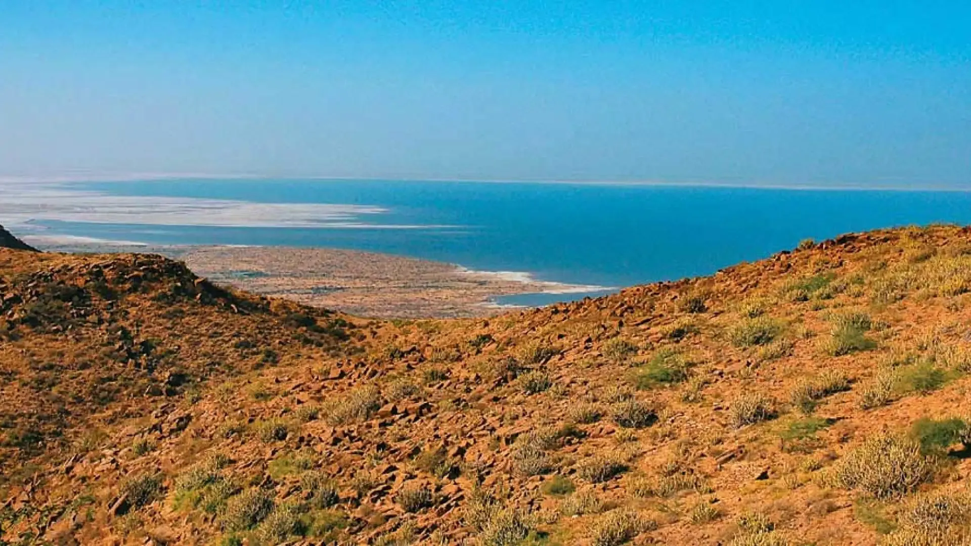 Little Rann of Kutch: The Wild Ass Sanctuary - Photo 8