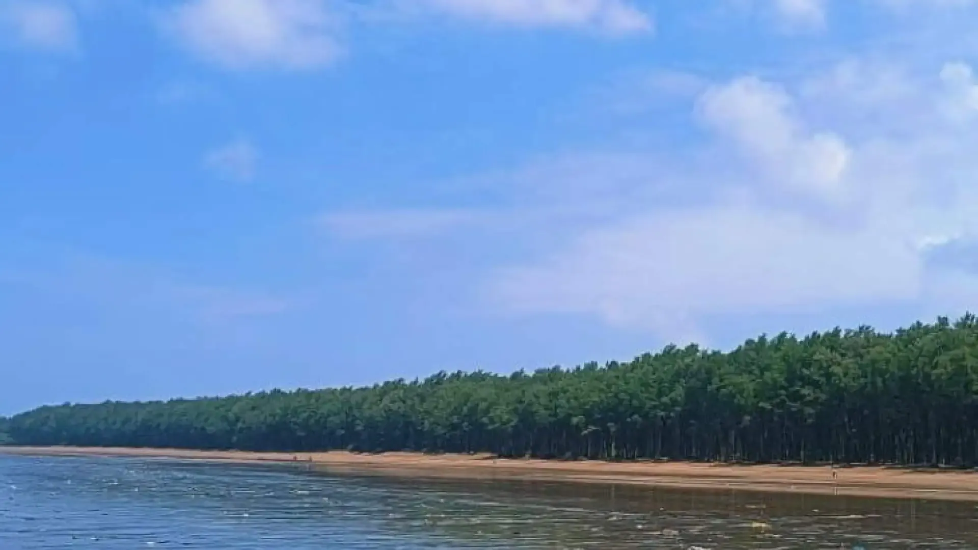 Nargol Beach: A Serene Coastal Paradise in South Gujarat - Photo 9