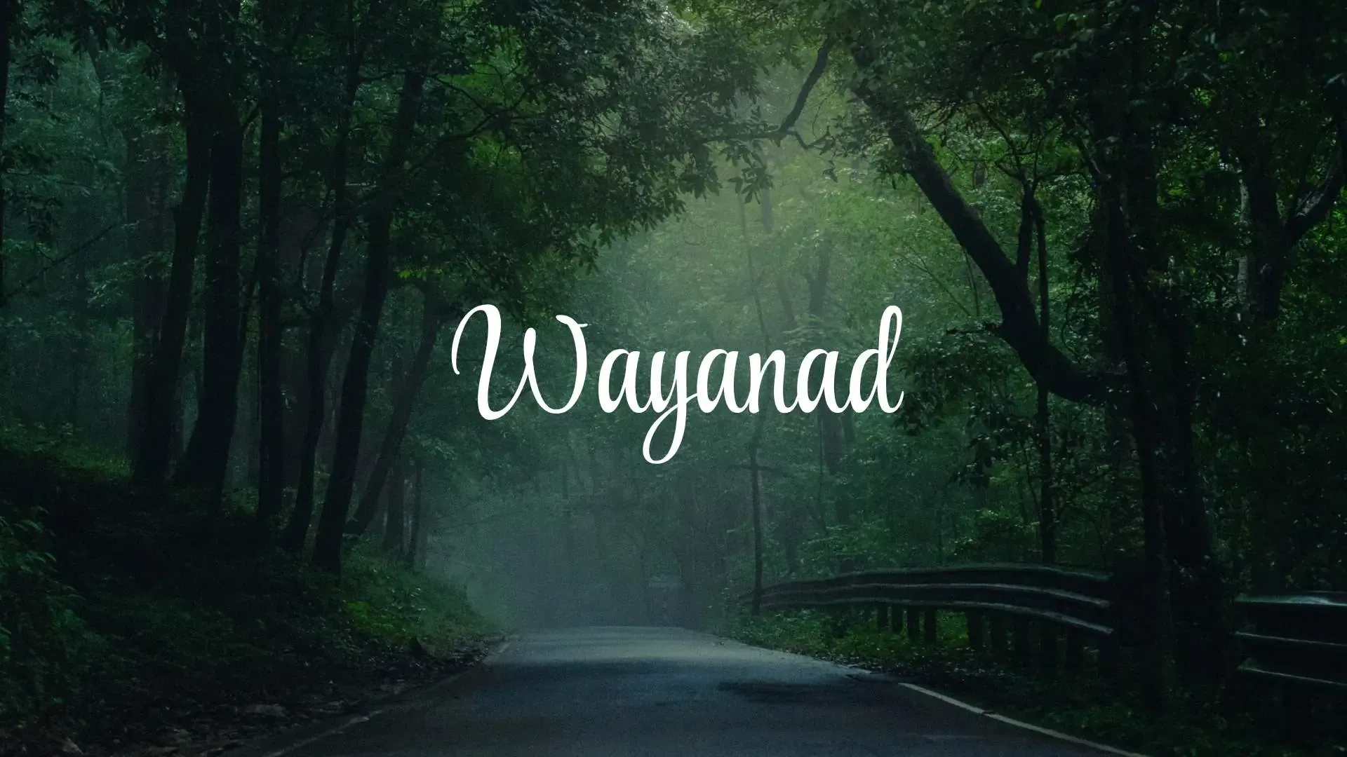 Discover Wayanad: The Ultimate Guide to Kerala’s Green Paradise