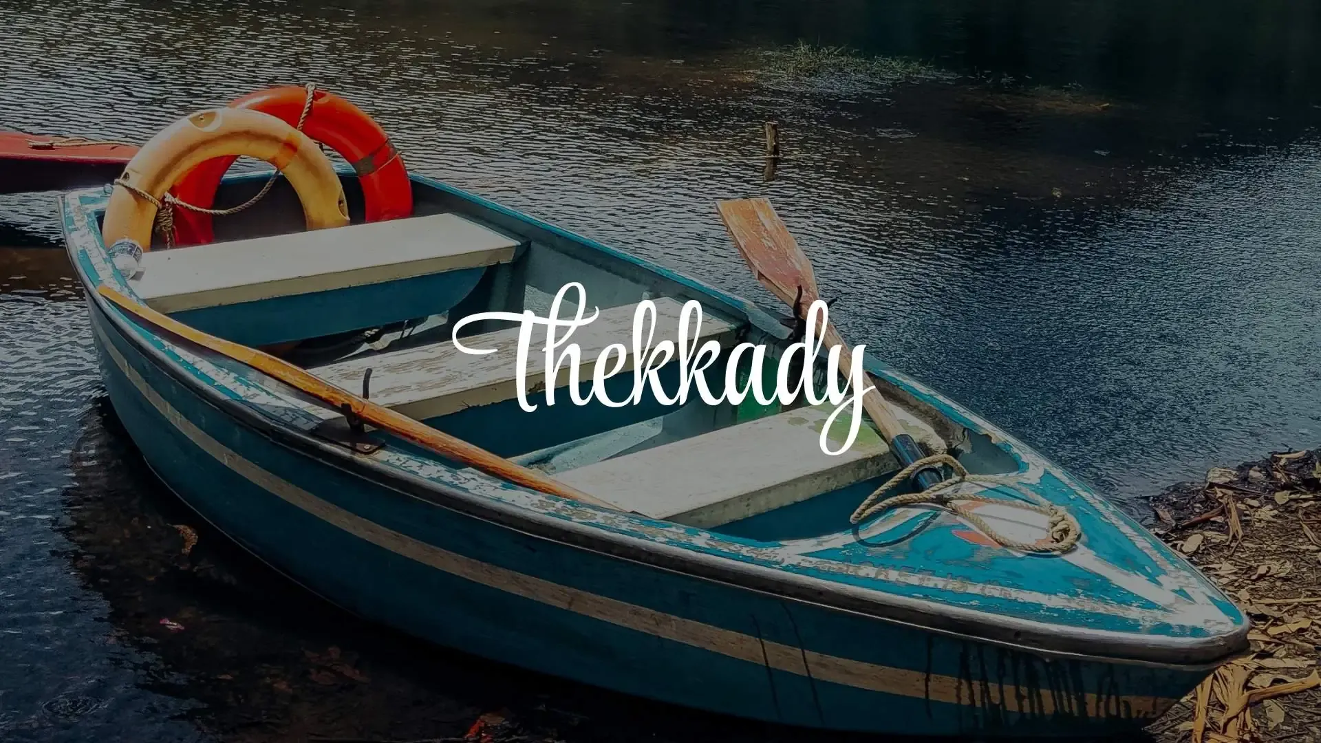 Discover Thekkady: The Ultimate Guide to Periyar’s Wild Heart