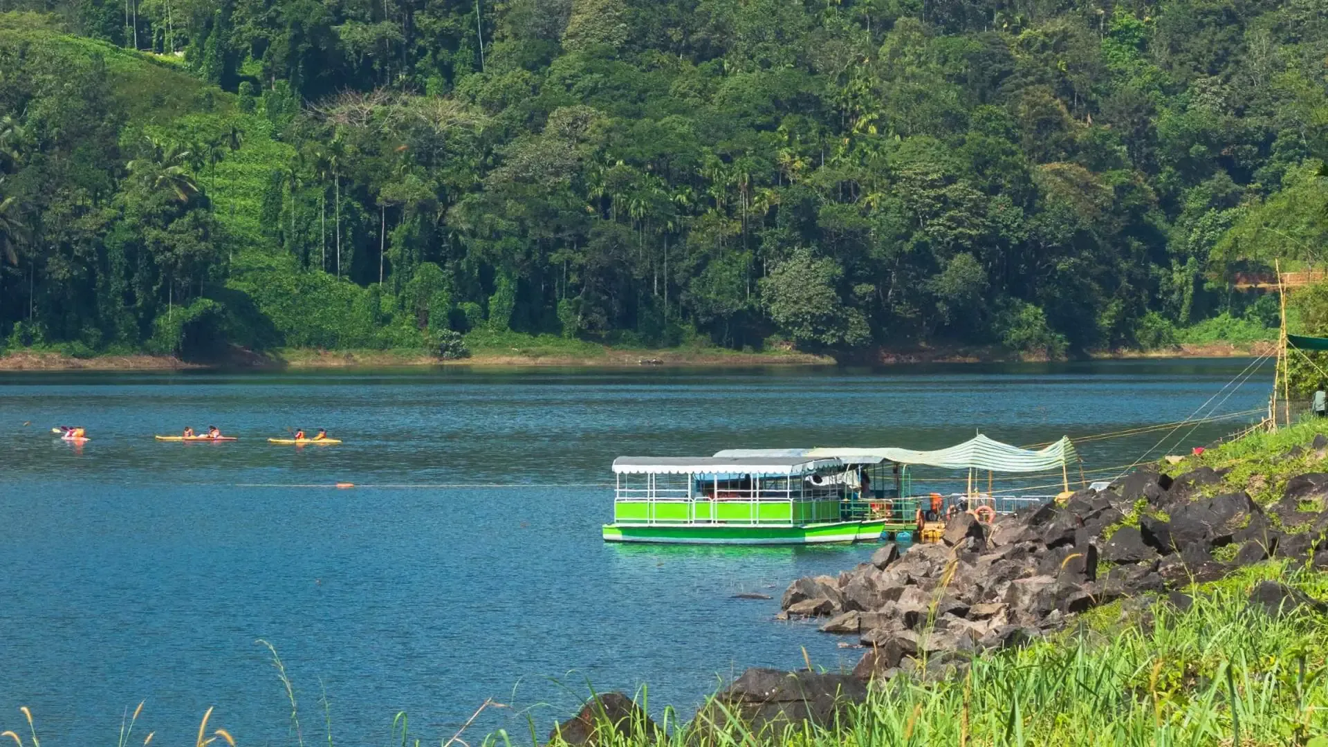 Discover Thekkady: The Ultimate Guide to Periyar’s Wild Heart - Photo 2