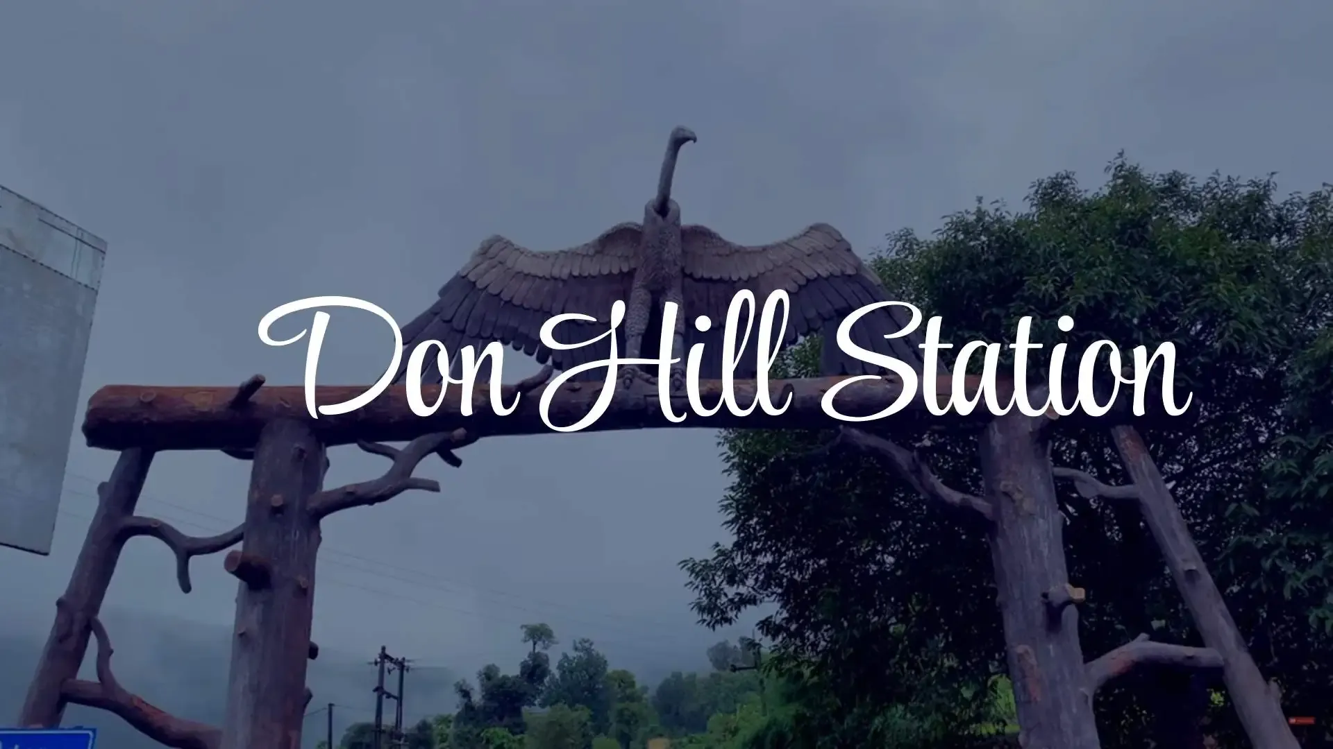 Don Hill Station Dang - Photo 1