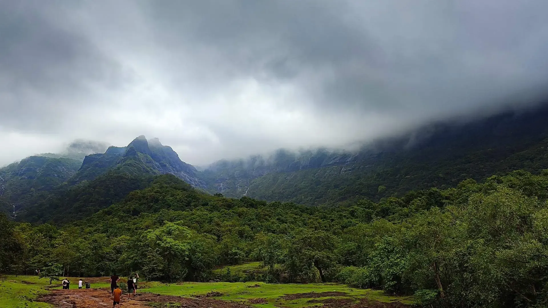 Malshej Ghat: A Monsoon Paradise in the Western Ghats - Photo 4