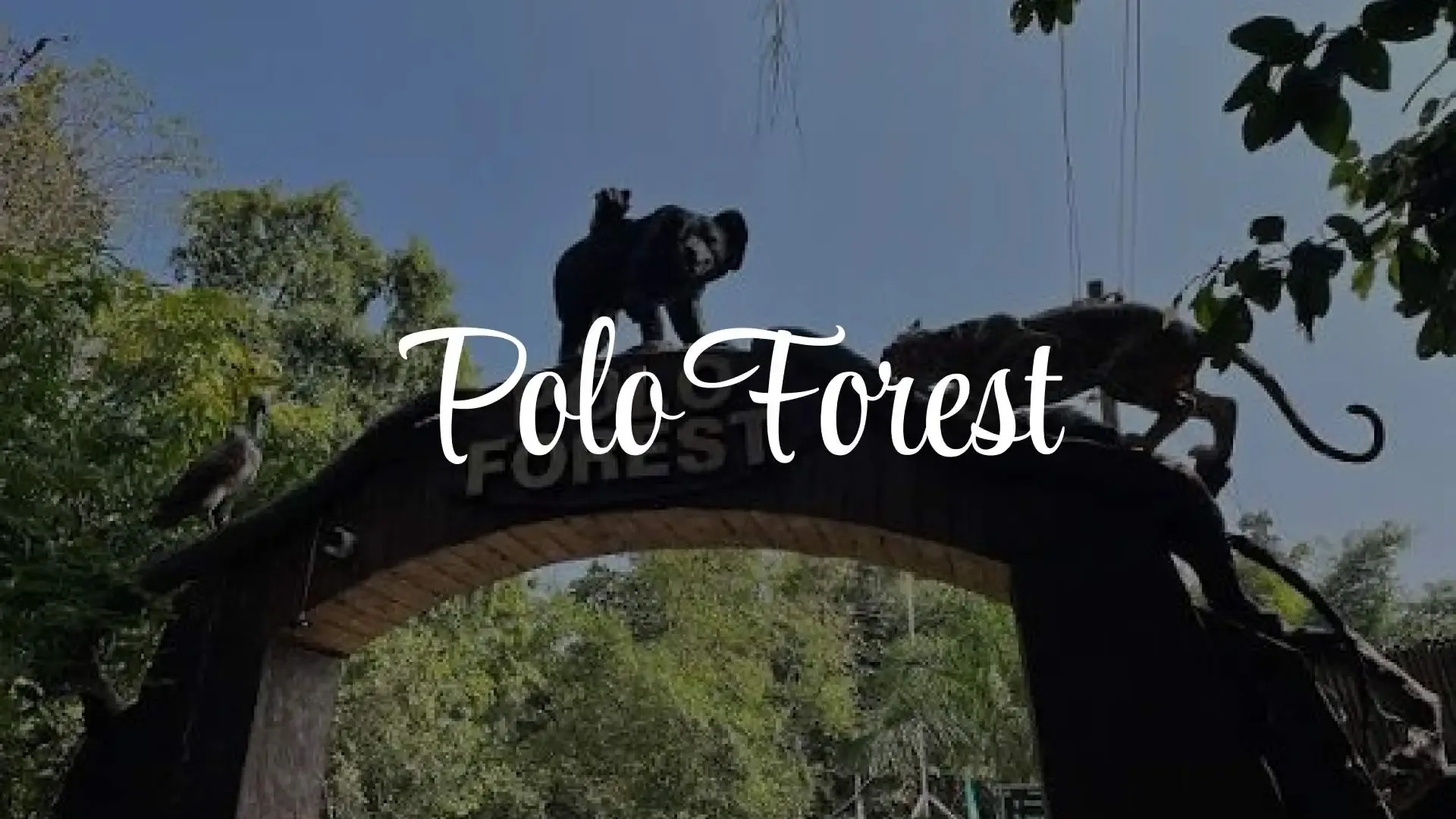 Polo Forest: A Hidden Ecological Paradise