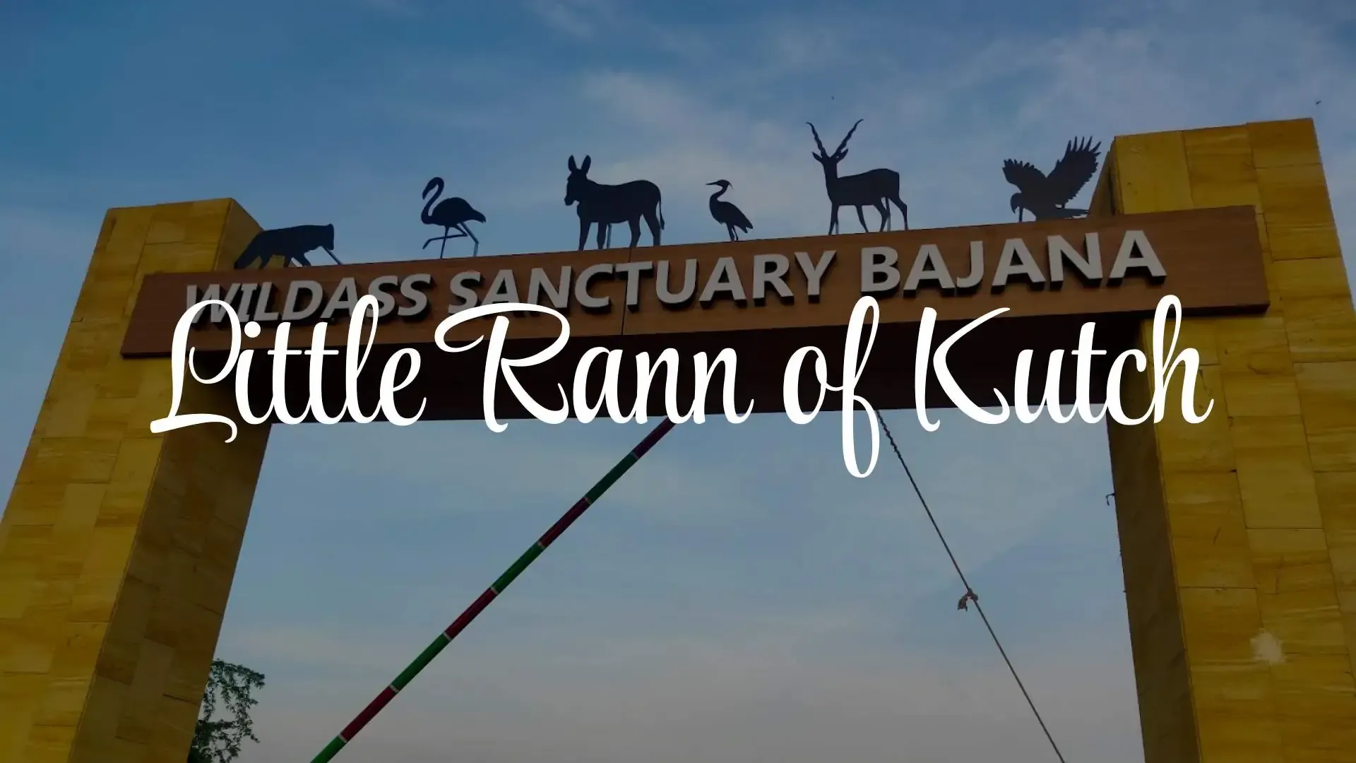 Little Rann of Kutch: The Wild Ass Sanctuary