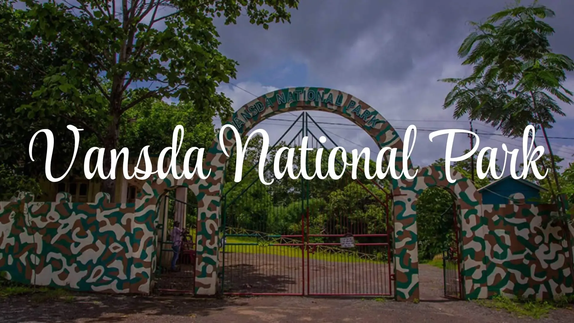 Vansda National Park: A Journey into the Deep Woods - Photo 3