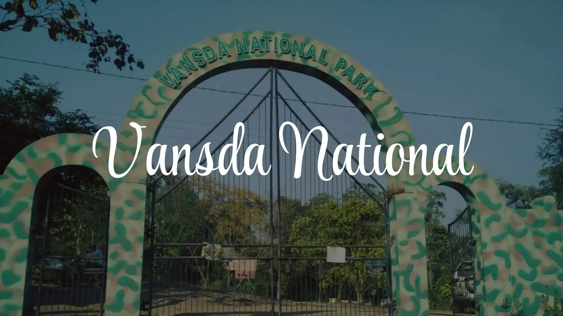 Vansda National Park: A Journey into the Deep Woods