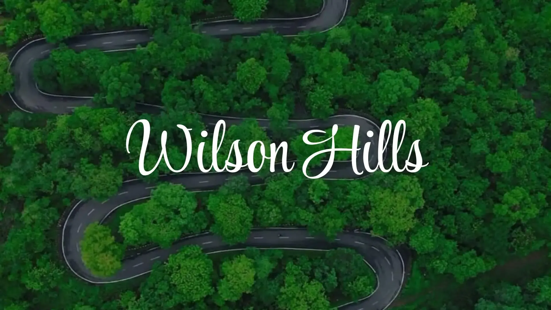 Wilson Hills: Gujarat's Scenic Hill Retreat Above the Clouds