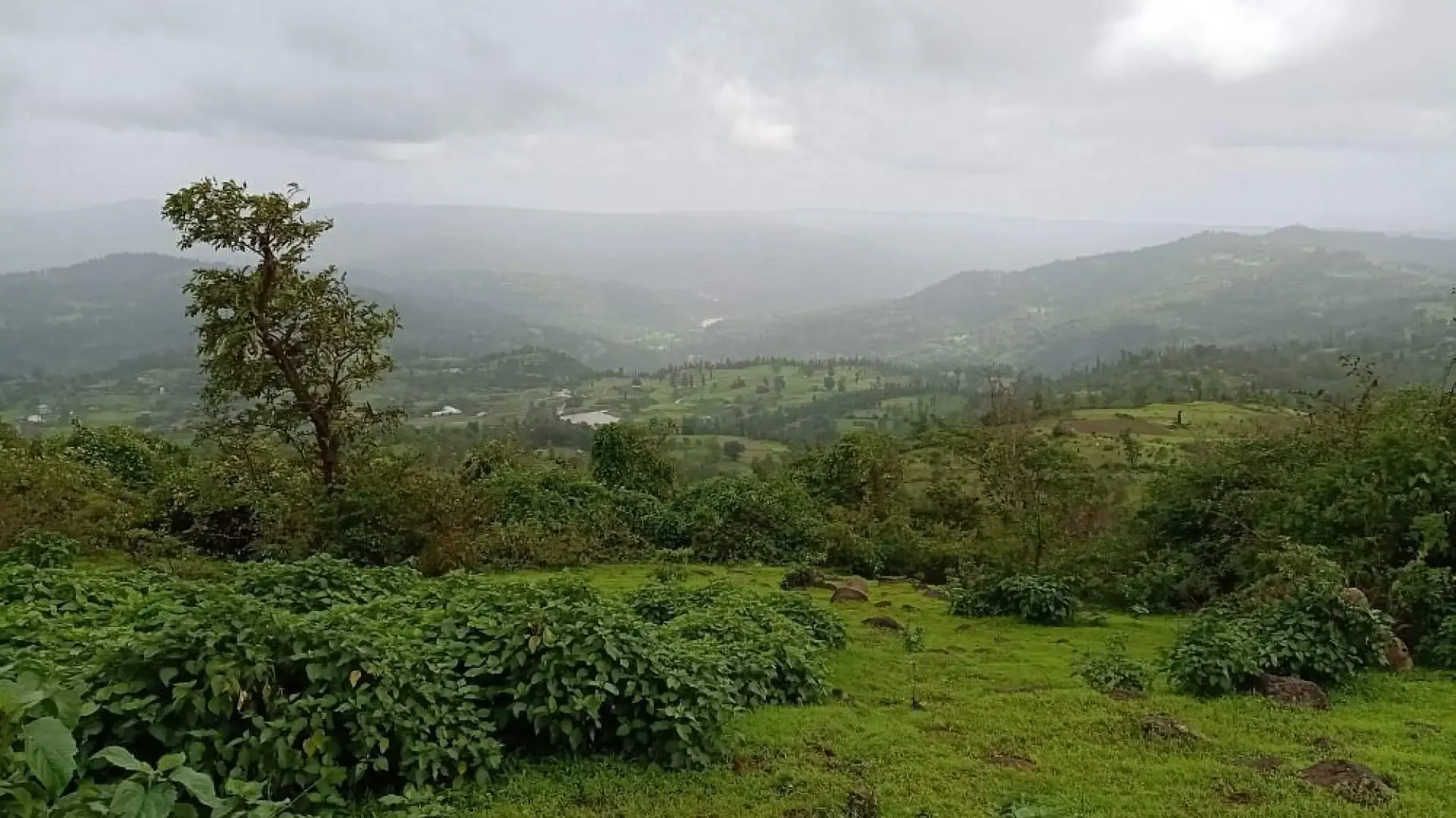 Wilson Hills: Gujarat's Scenic Hill Retreat Above the Clouds - Photo 4