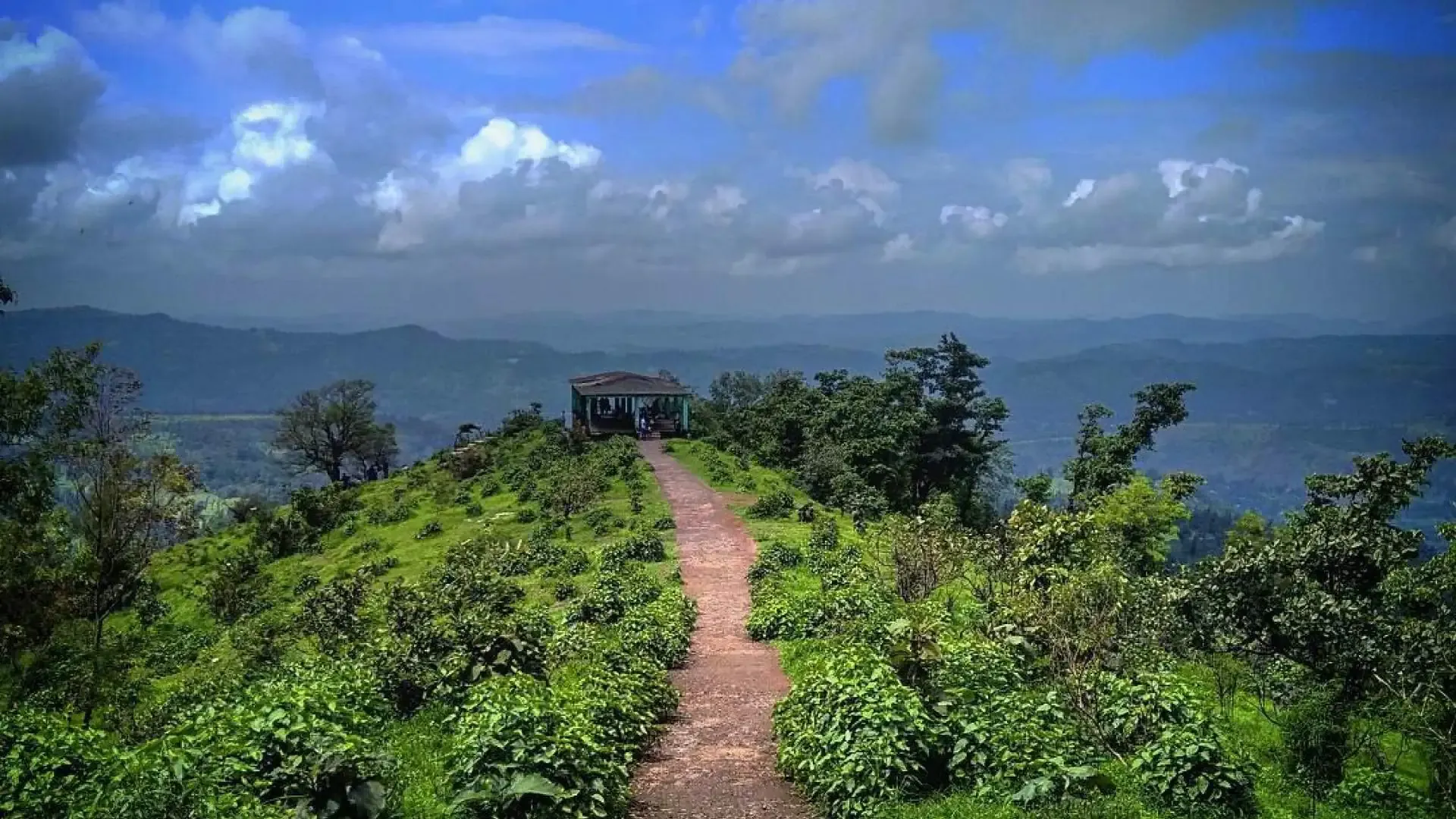 Wilson Hills: Gujarat's Scenic Hill Retreat Above the Clouds - Photo 2