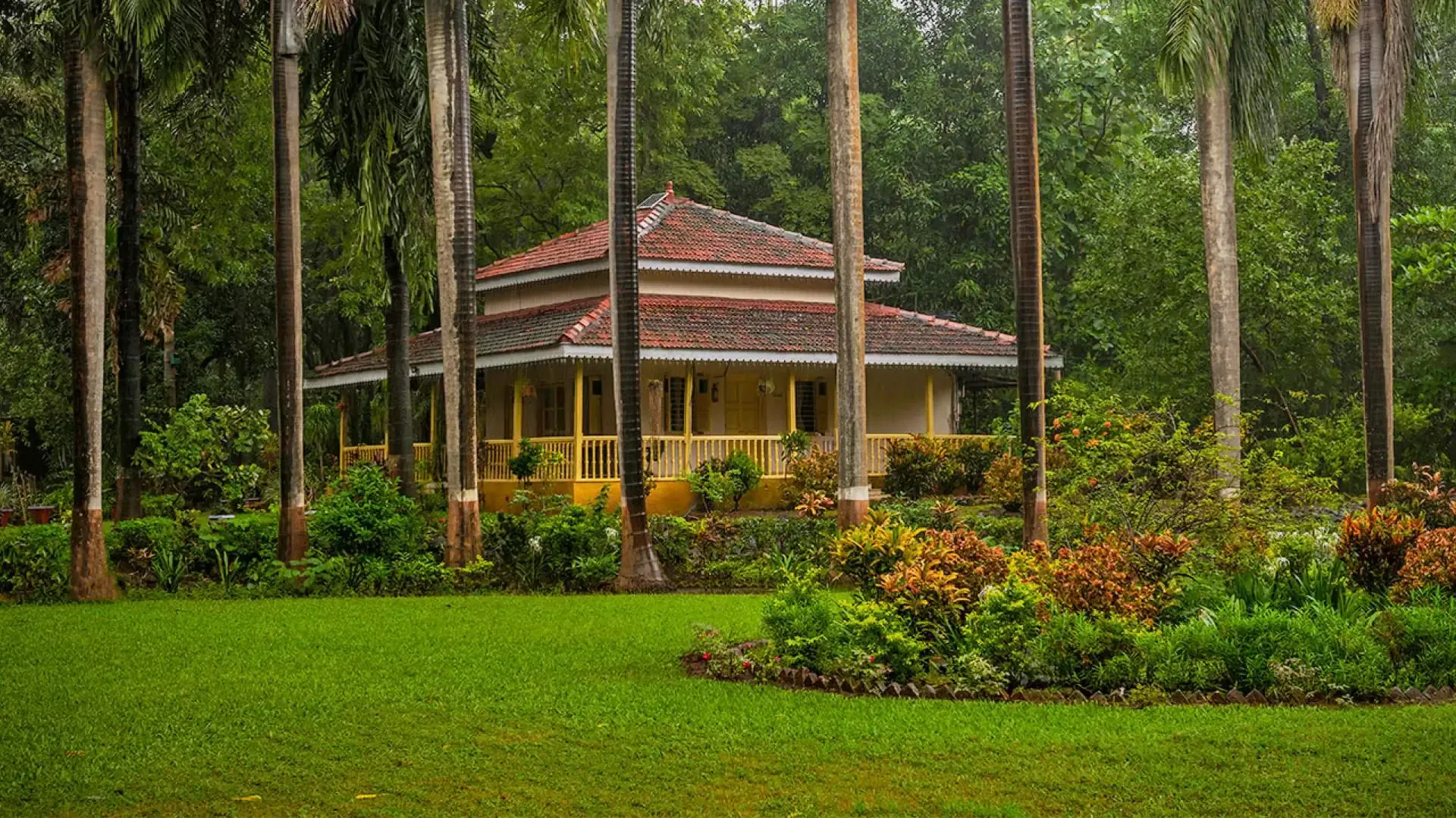 Waghai Botanical Garden