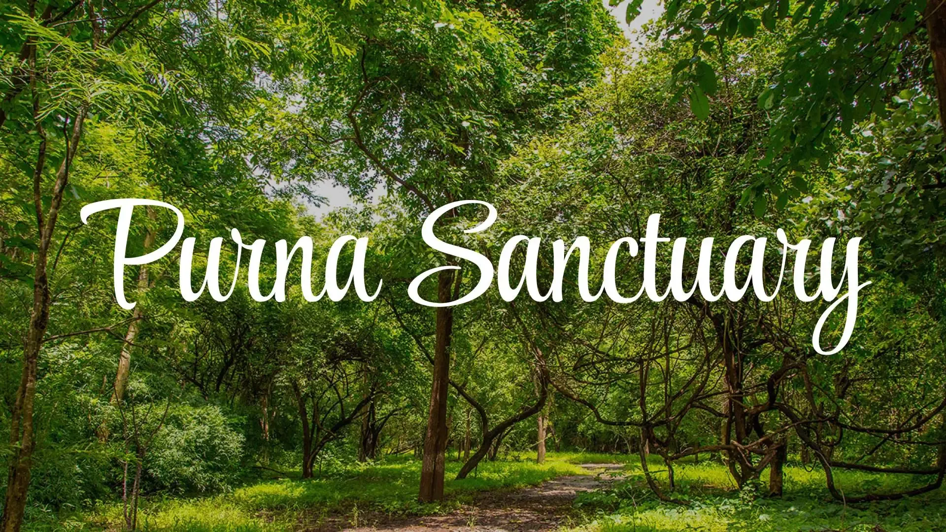Purna Sanctuary