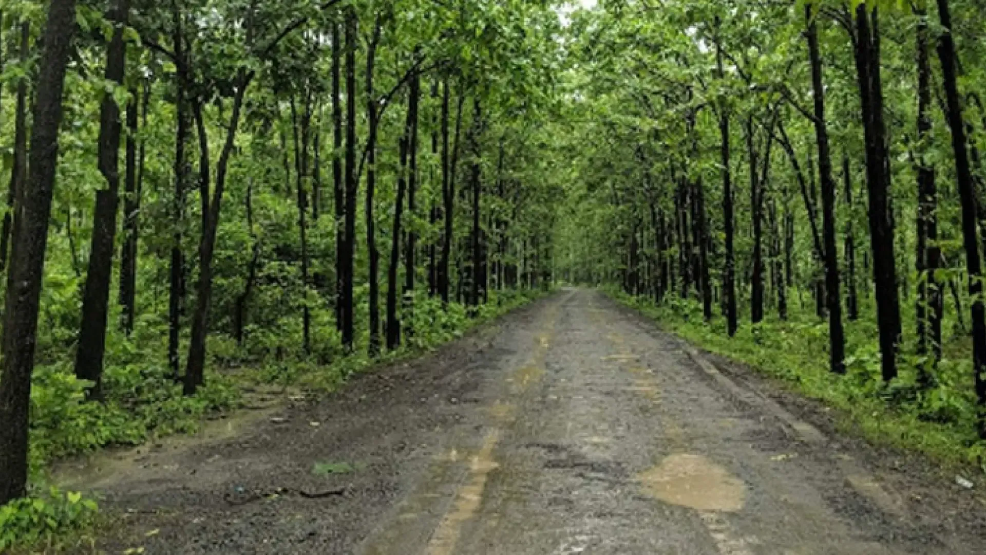 Purna Sanctuary - Photo 3
