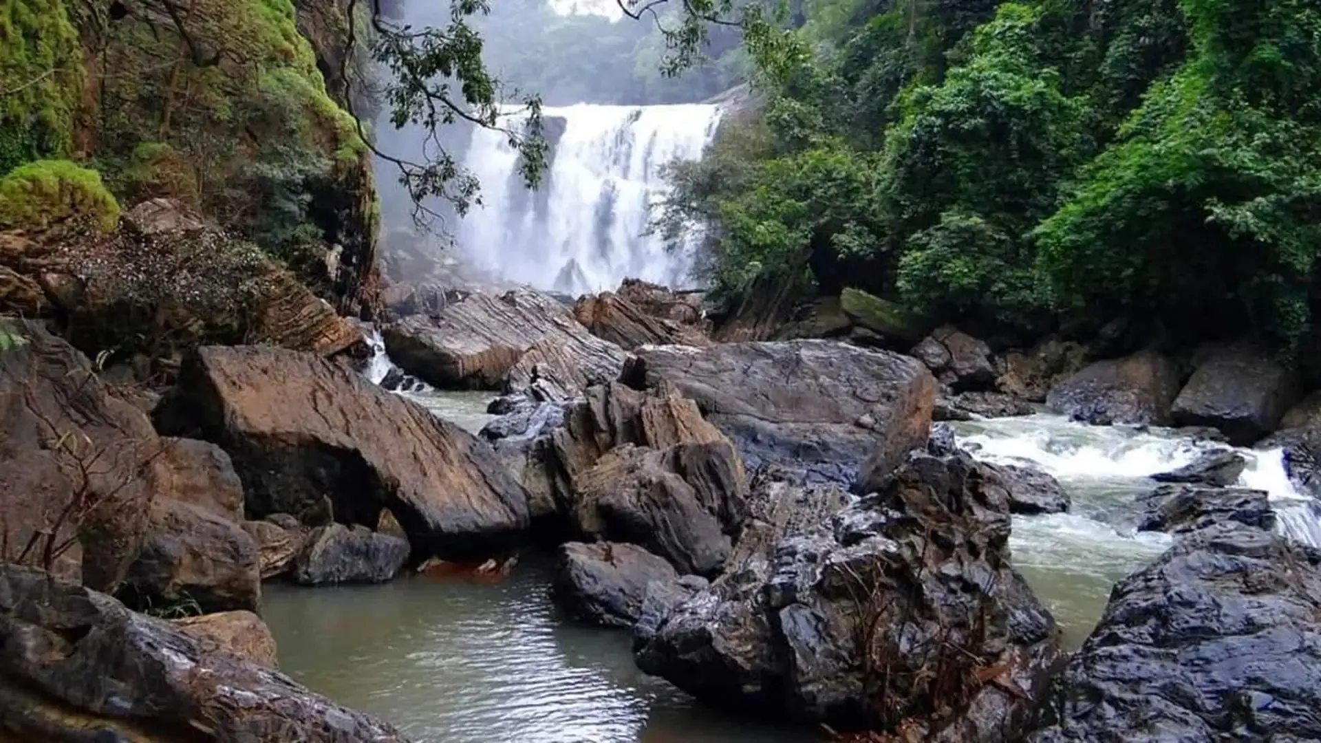 Purna Sanctuary - Photo 2