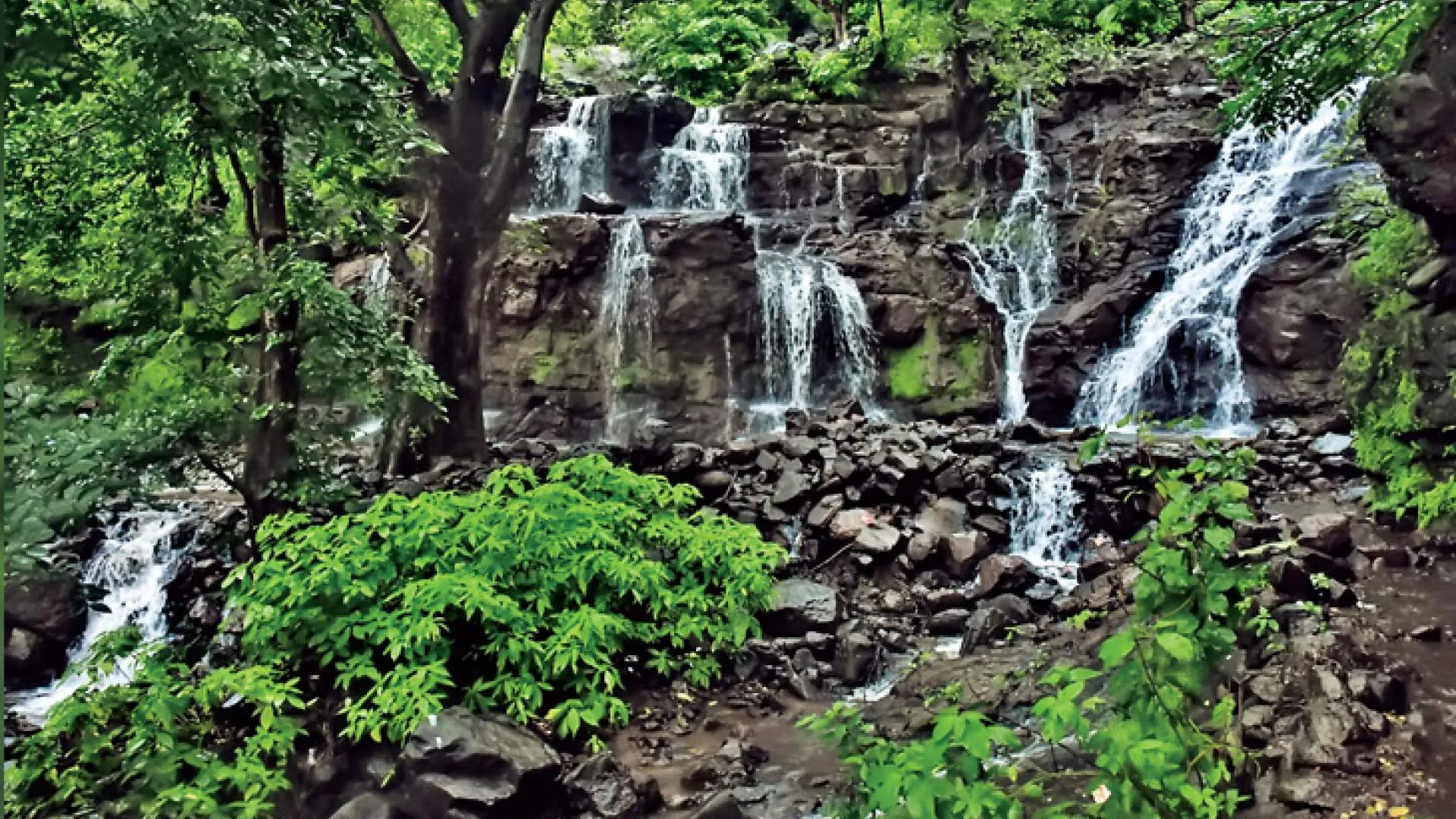 Vangan waterfall (Ankada dhodh) - Photo 4