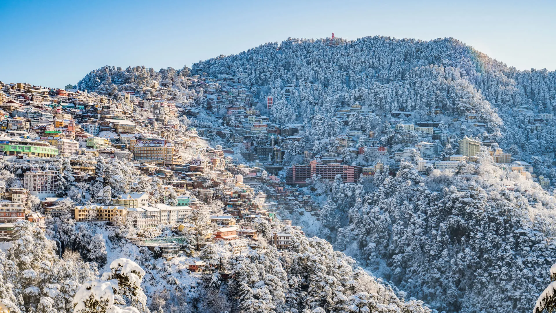 Kufri Shimla: Skiing, Kufri Fun World, Yak Rides & Guide - Photo 3