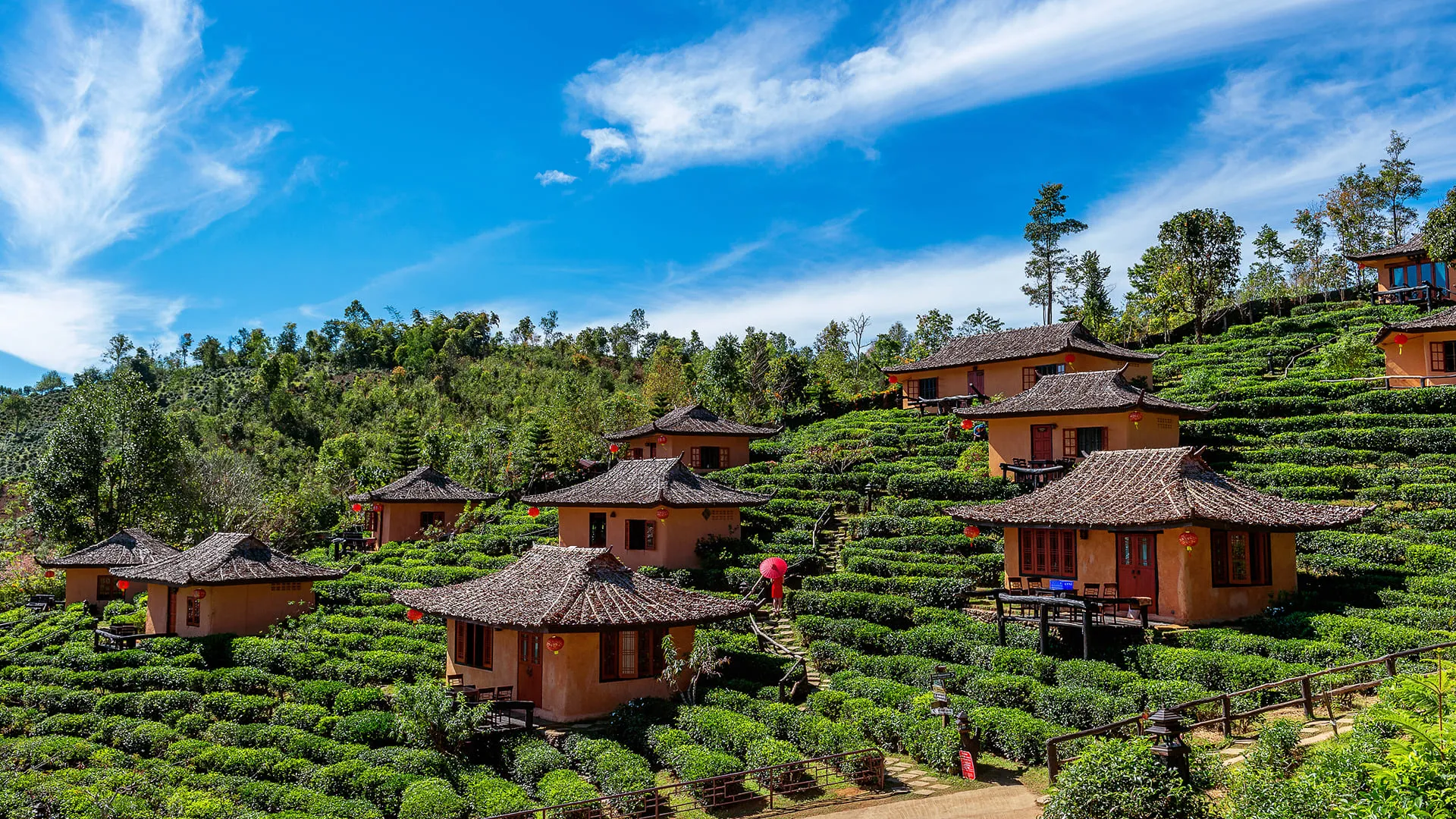 Kasauli Travel Guide: Monkey Point, Mall Road & Sights - Photo 3