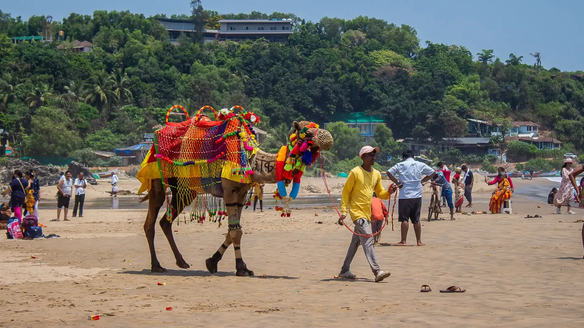 Palolem Beach Goa: Silent Disco, Kayaking & Travel Guide - Photo 3