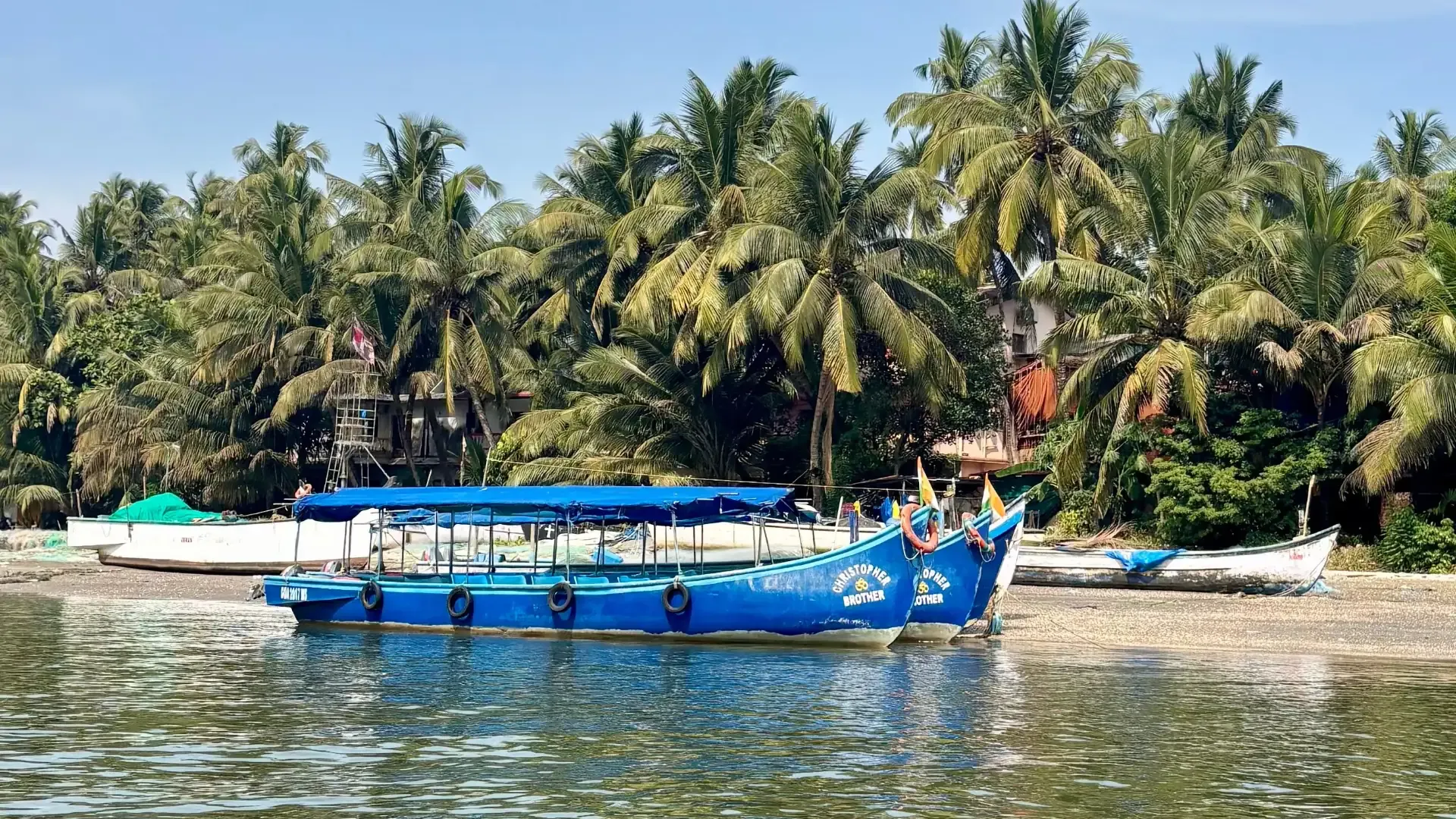 Palolem Beach Goa: Silent Disco, Kayaking & Travel Guide - Photo 2