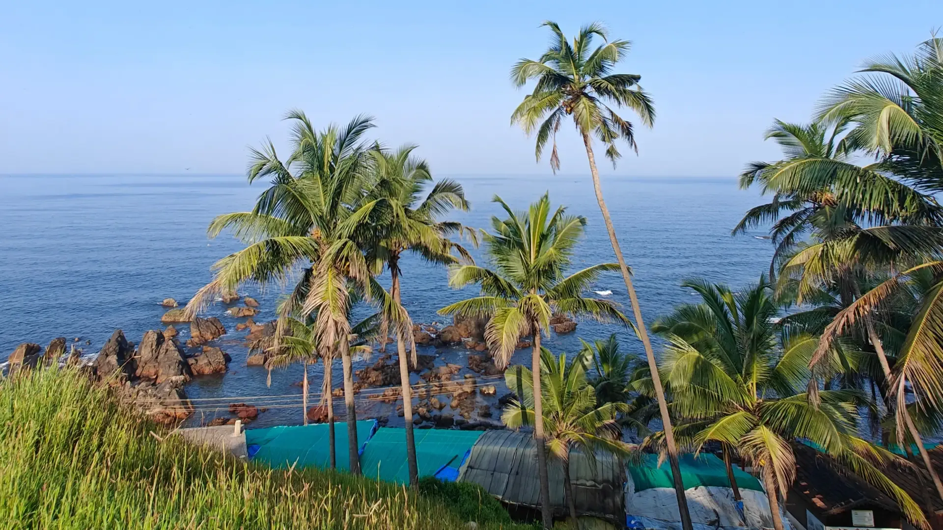 Butterfly Beach Goa: Boat Trip, Dolphins & Travel Guide - Photo 2