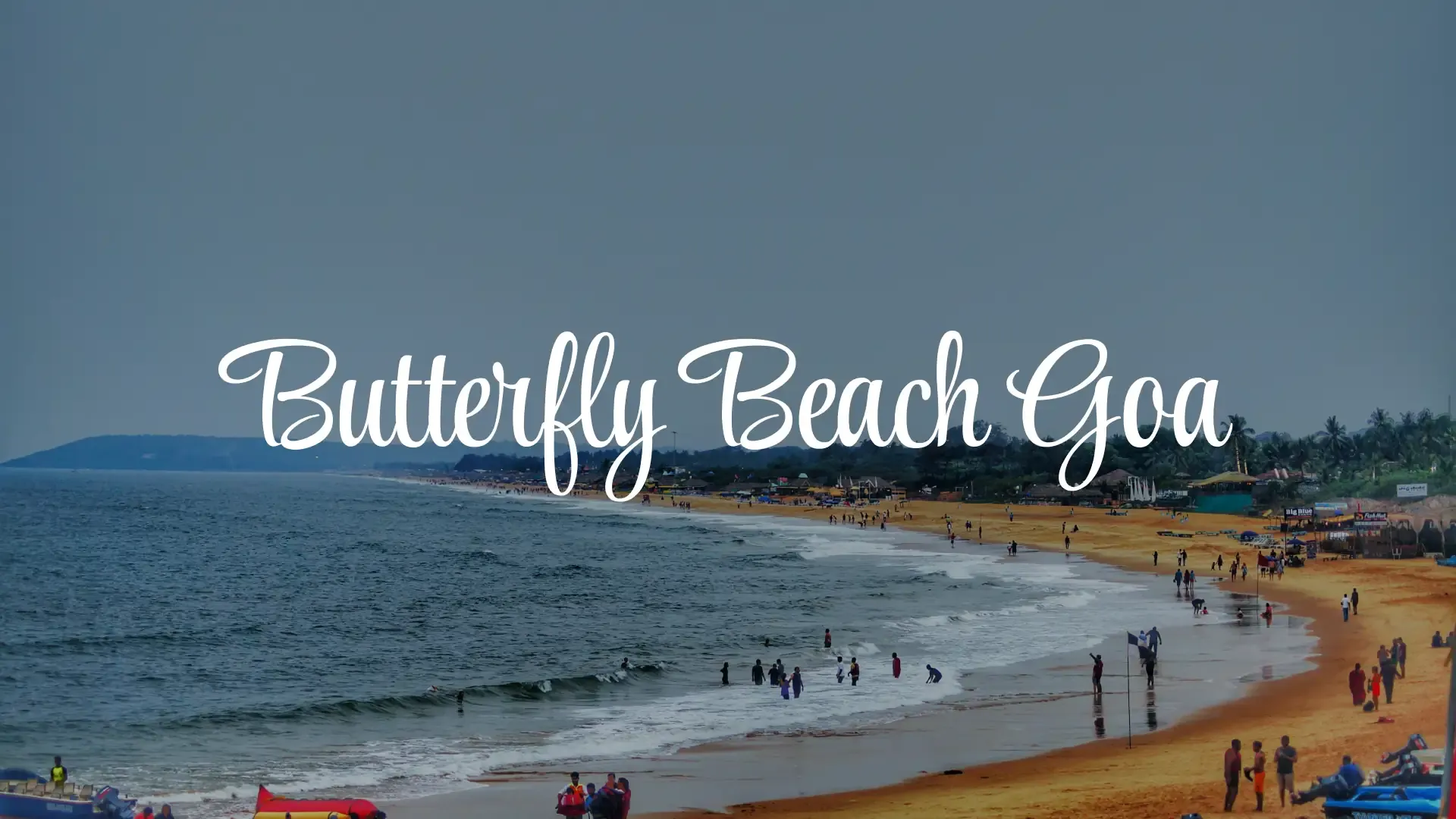 Butterfly Beach Goa: Boat Trip, Dolphins & Travel Guide