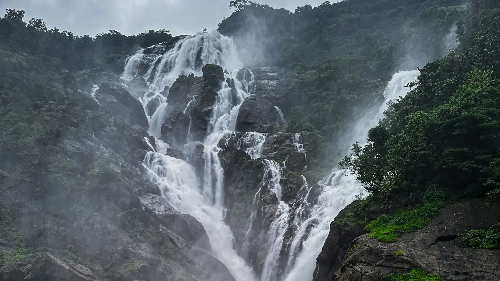Dudhsagar Waterfalls Goa: Trek, Jeep Safari & Travel Guide - Photo 4