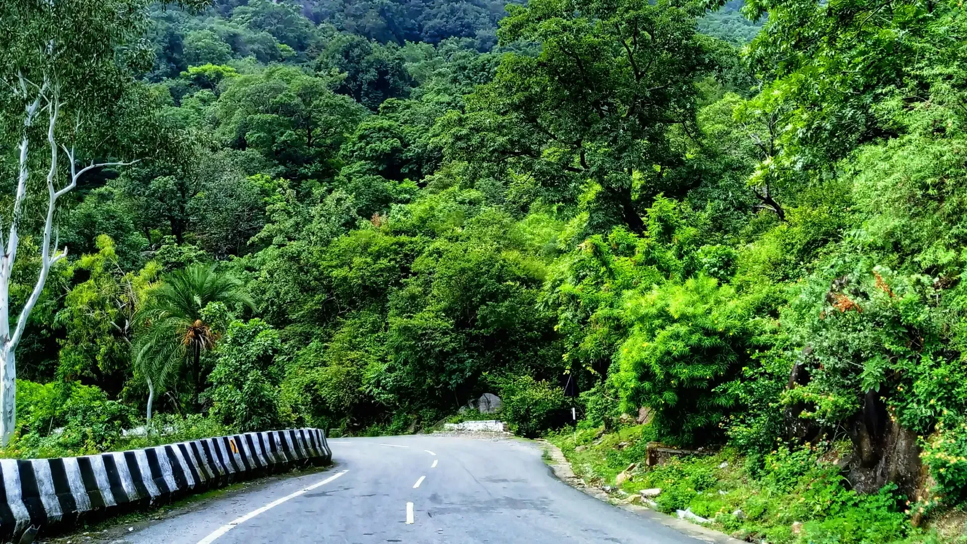 Mount Abu & Dilwara Temples: Rajasthan's Only Hill Station Travel Guide