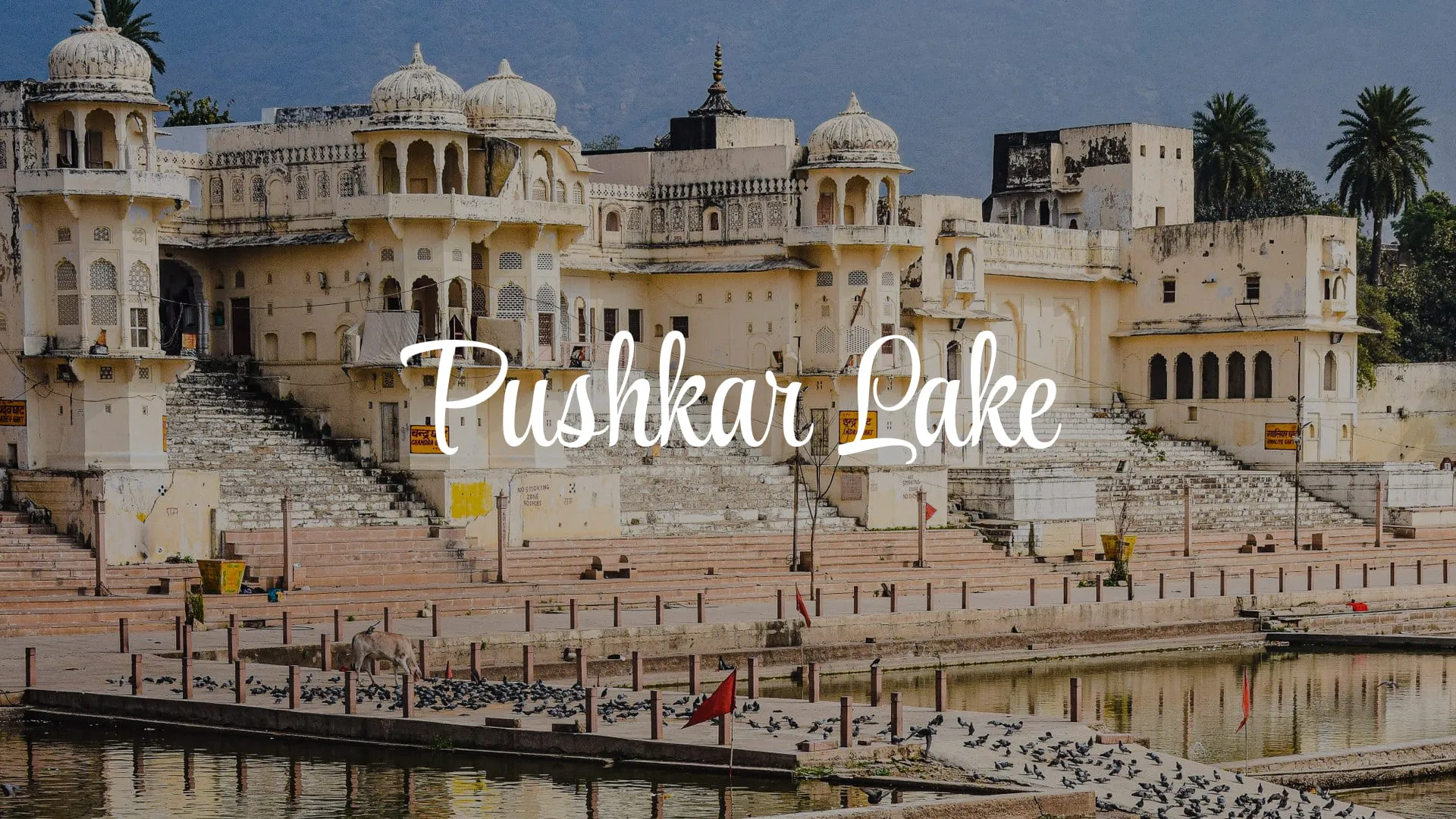 Pushkar Lake: Complete Guide to Rajasthan's Holiest Sacred Lake