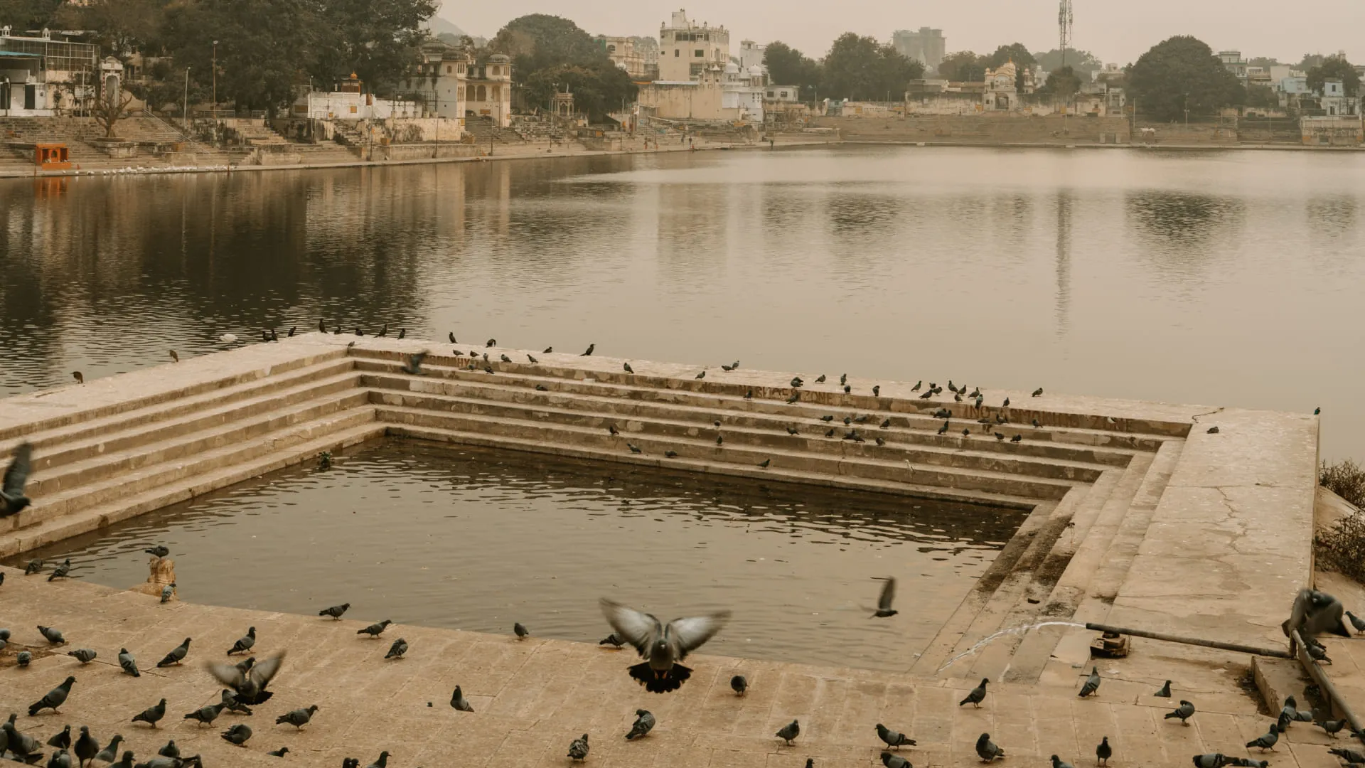 Pushkar Lake: Complete Guide to Rajasthan's Holiest Sacred Lake - Photo 4