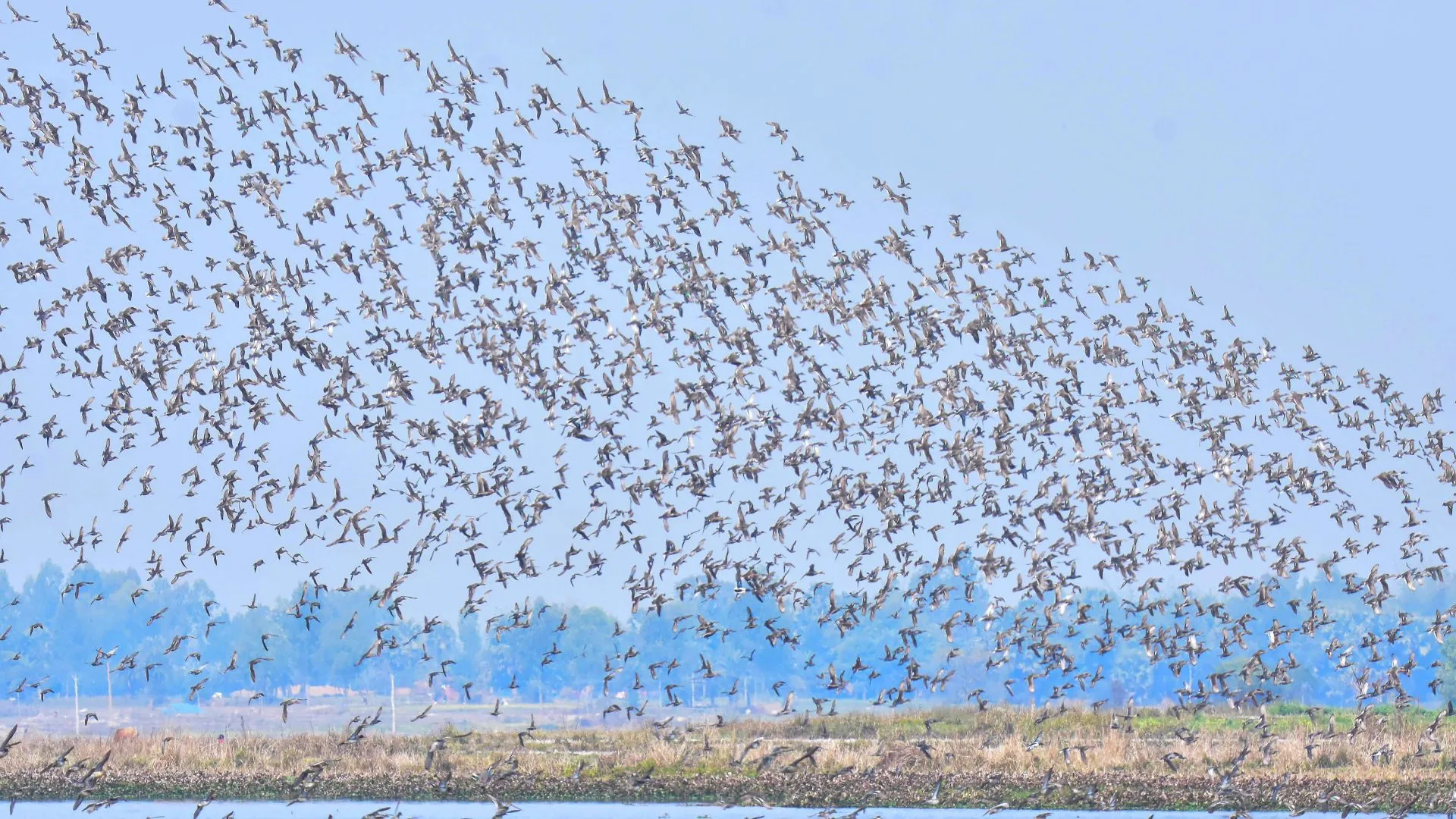 Narayan Sarovar & Koteshwar (Kutch, Gujarat): Complete Travel Guide, History & Photos