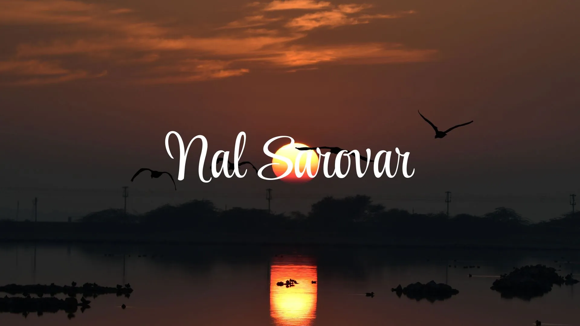 Nal Sarovar Bird Sanctuary (Ahmedabad, Gujarat): Complete Travel Guide, History & Photos