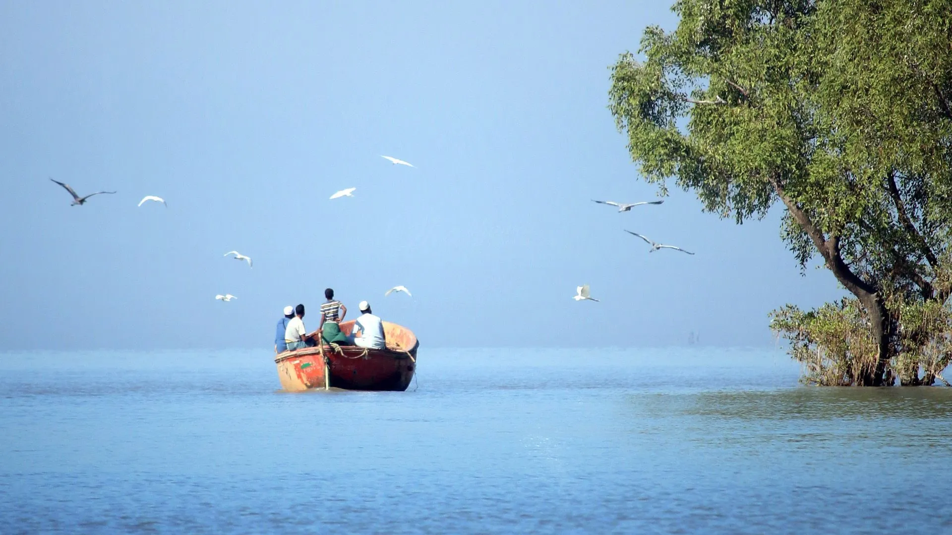 Nal Sarovar Bird Sanctuary (Ahmedabad, Gujarat): Complete Travel Guide, History & Photos - Photo 3