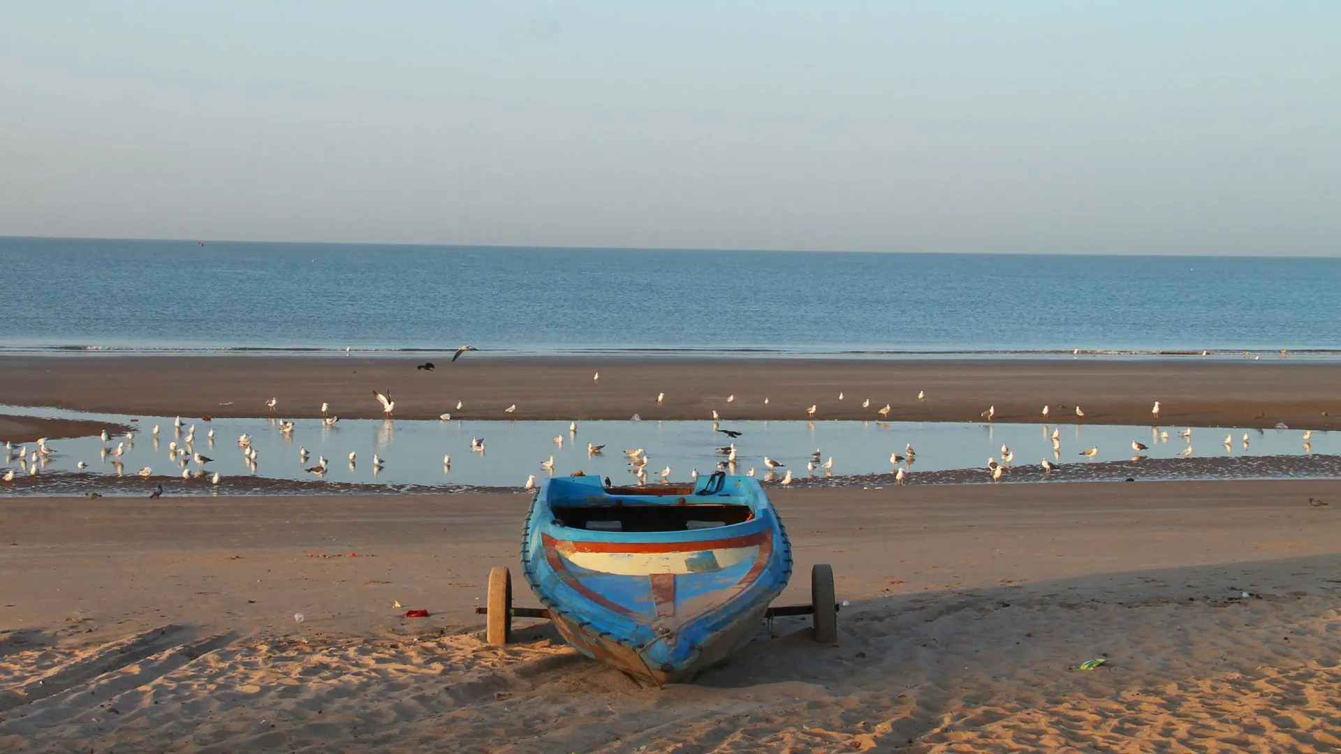 Mandvi Beach (Kutch, Gujarat): Complete Travel Guide, History & Photos - Photo 3